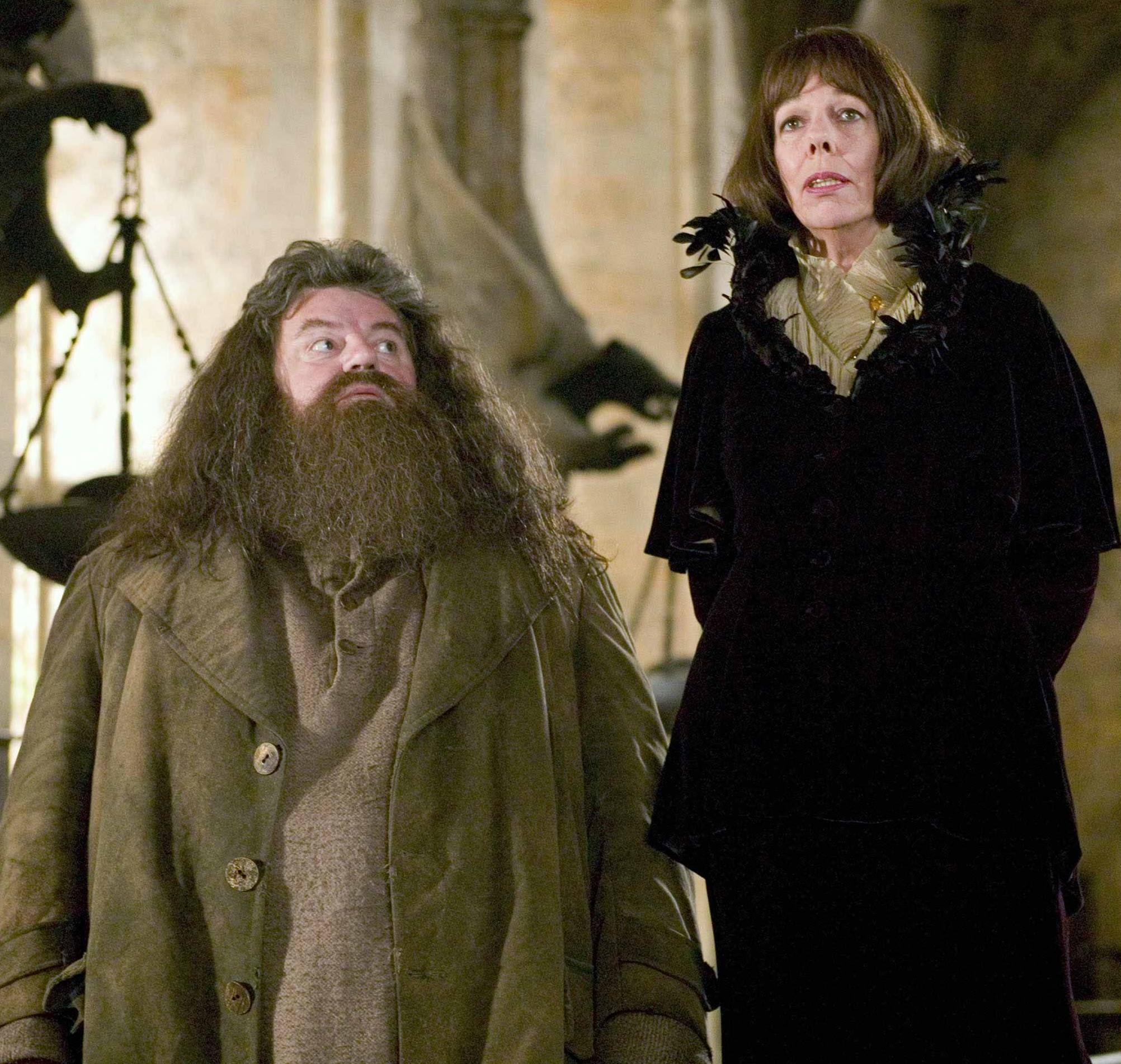 Hagrid, Rubeus, Harry Potter, Film, Charakter, 2010x1910 HD Desktop