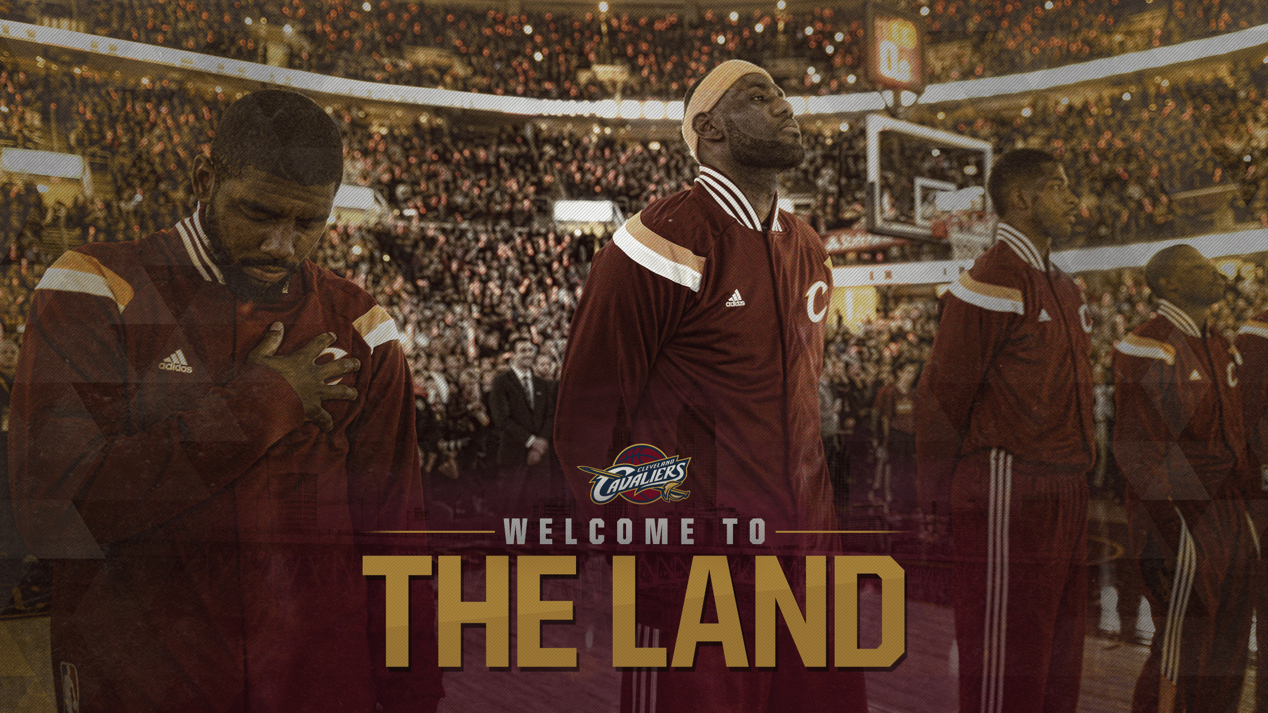 Cleveland Cavaliers, LeBron James, HD, Hintergrund, NBA, 2560x1440 HD Desktop