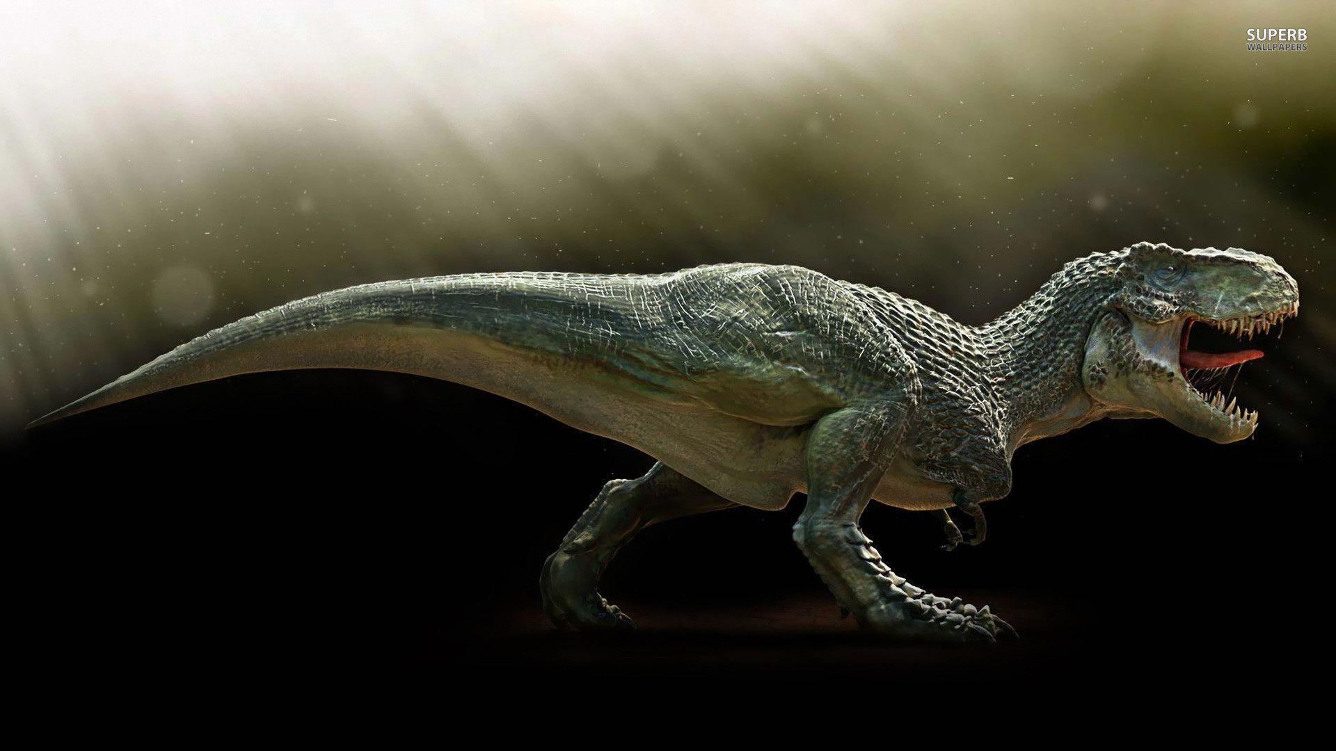 Tyrannosaurus Rex, Dinosaurier, Wallpaper, Jurassic, Urzeit, 1920x1080 Full HD Desktop