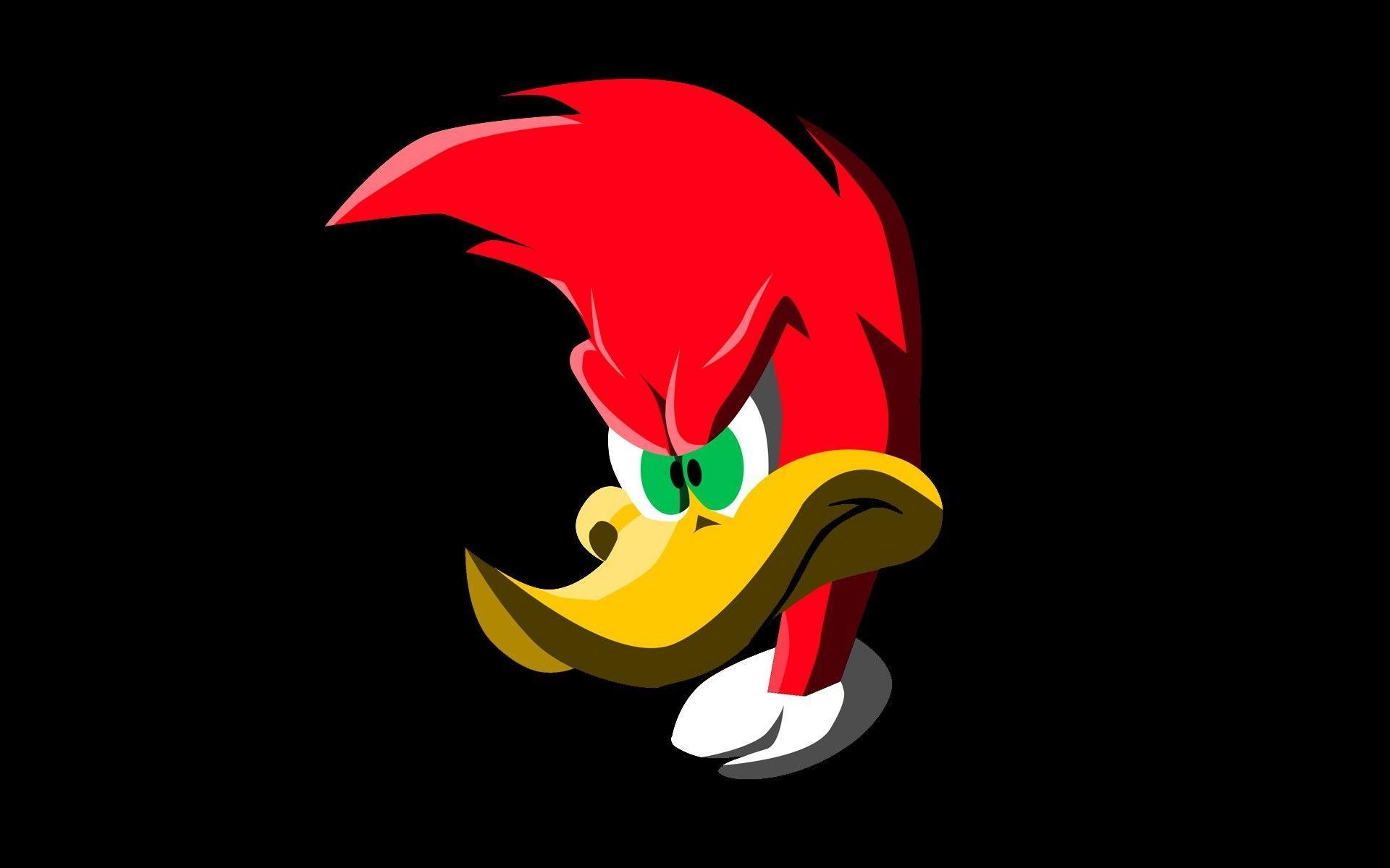 Woody Woodpecker, Cartoon, Kinder, Animation, Bild, 1920x1200 HD Desktop