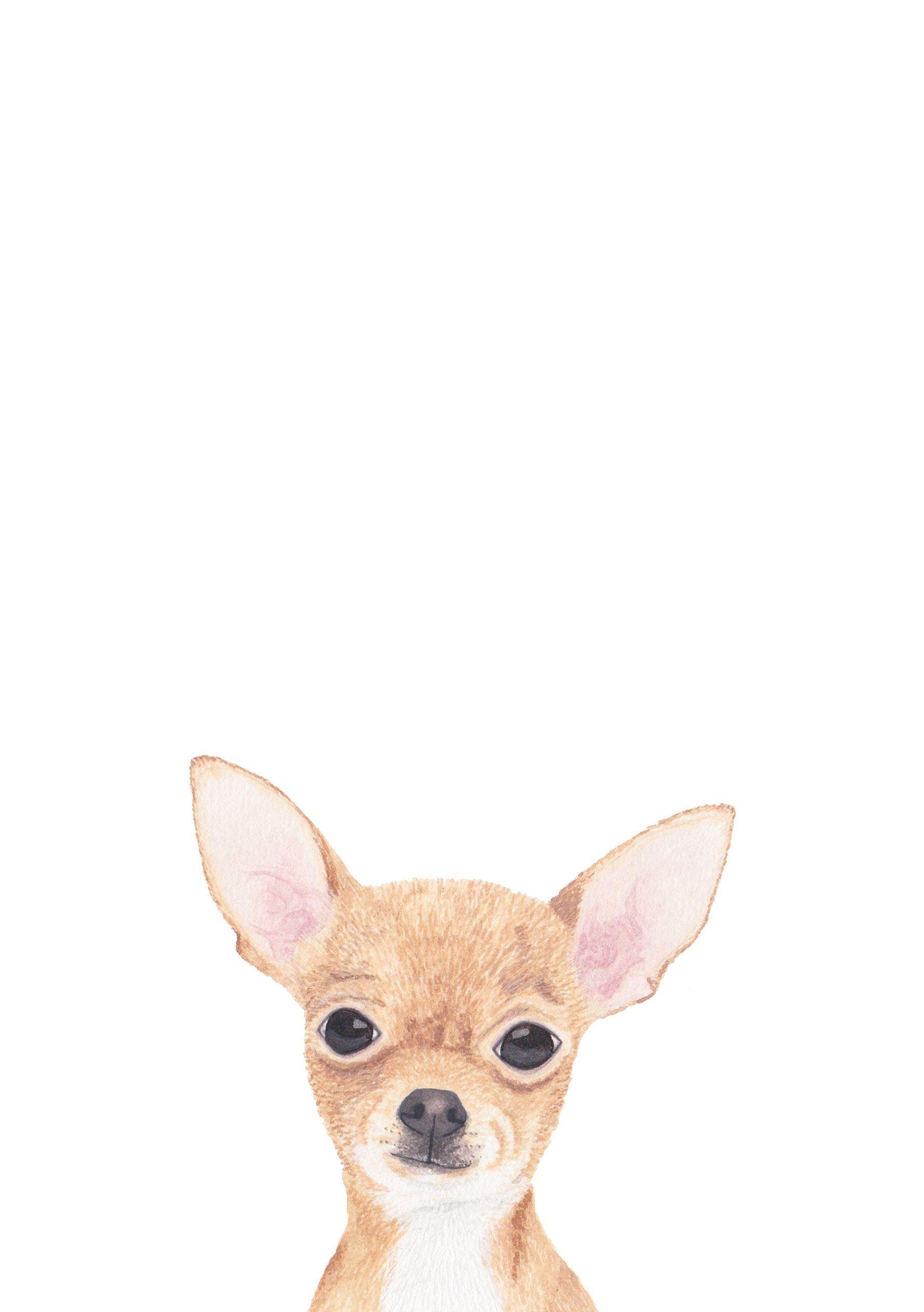 Chihuahua, Illustration, Louise Jewel, Bild, Kunst, 1790x2530 HD Handy