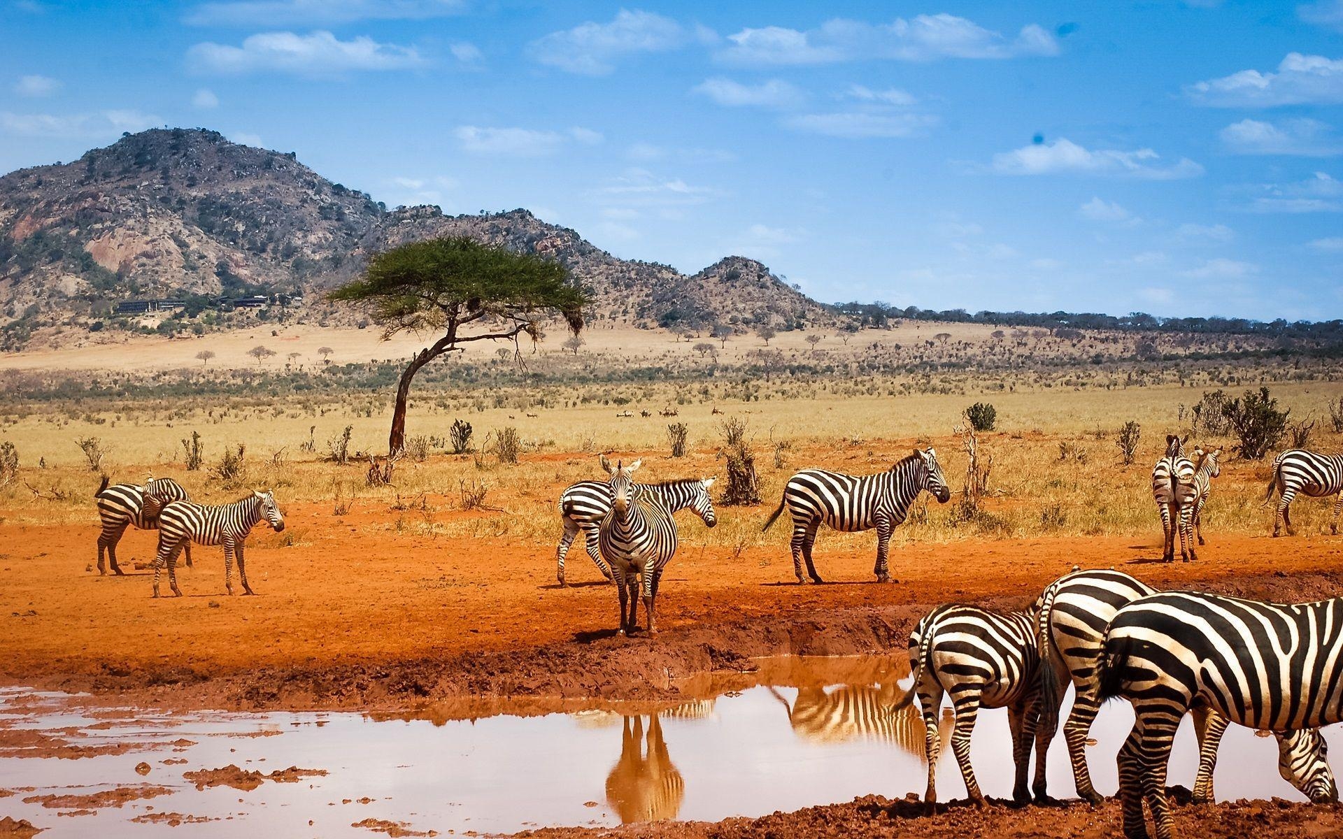 Kenia, Afrika, Landschaft, Hintergrund, Reisen, 1920x1200 HD Desktop