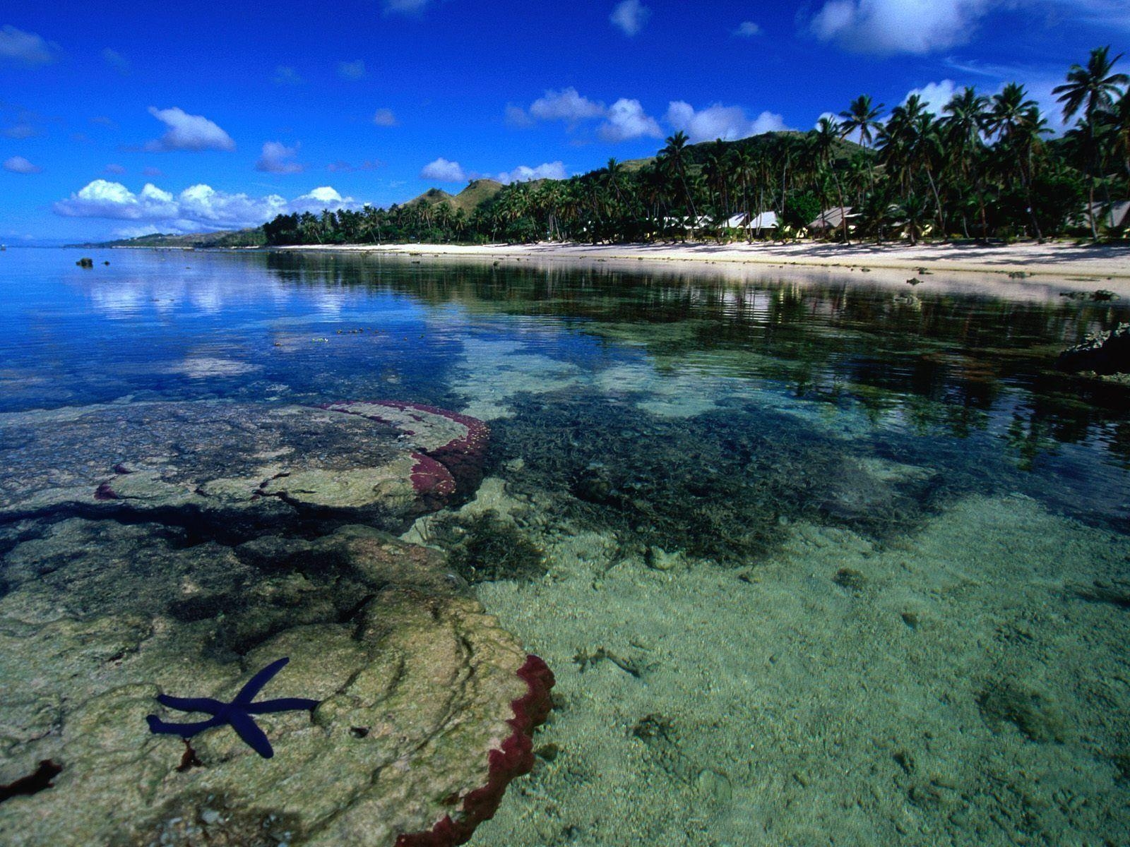 Korallenküste, Viti Levu, Fidschi, Paradies, Meer, 1600x1200 HD Desktop