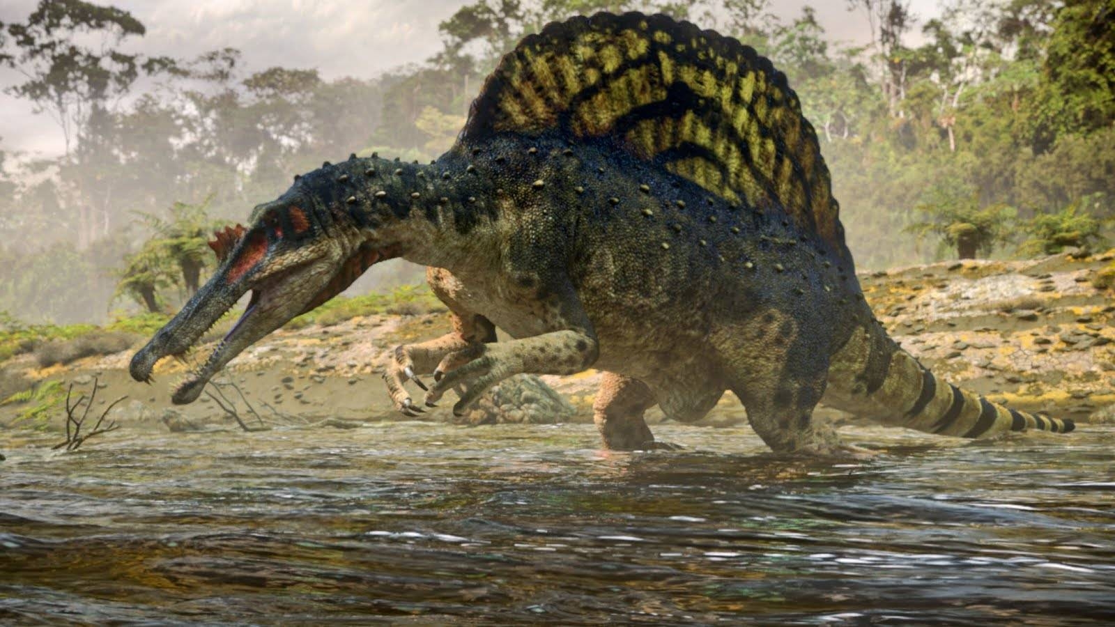 Spinosaurus, Dinosaurier, Geschuppt, Prähistorisch, Tier, 1600x900 HD Desktop