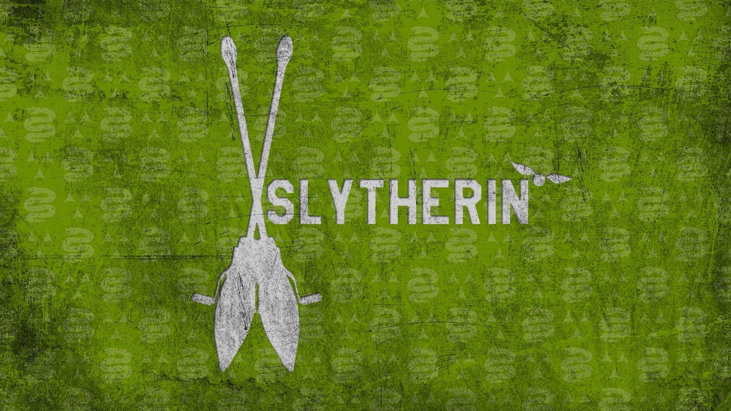 Slytherin HD Desktop, Hogwarts, Zauberei, Harry Potter, Magic, 2560x1440 HD Desktop