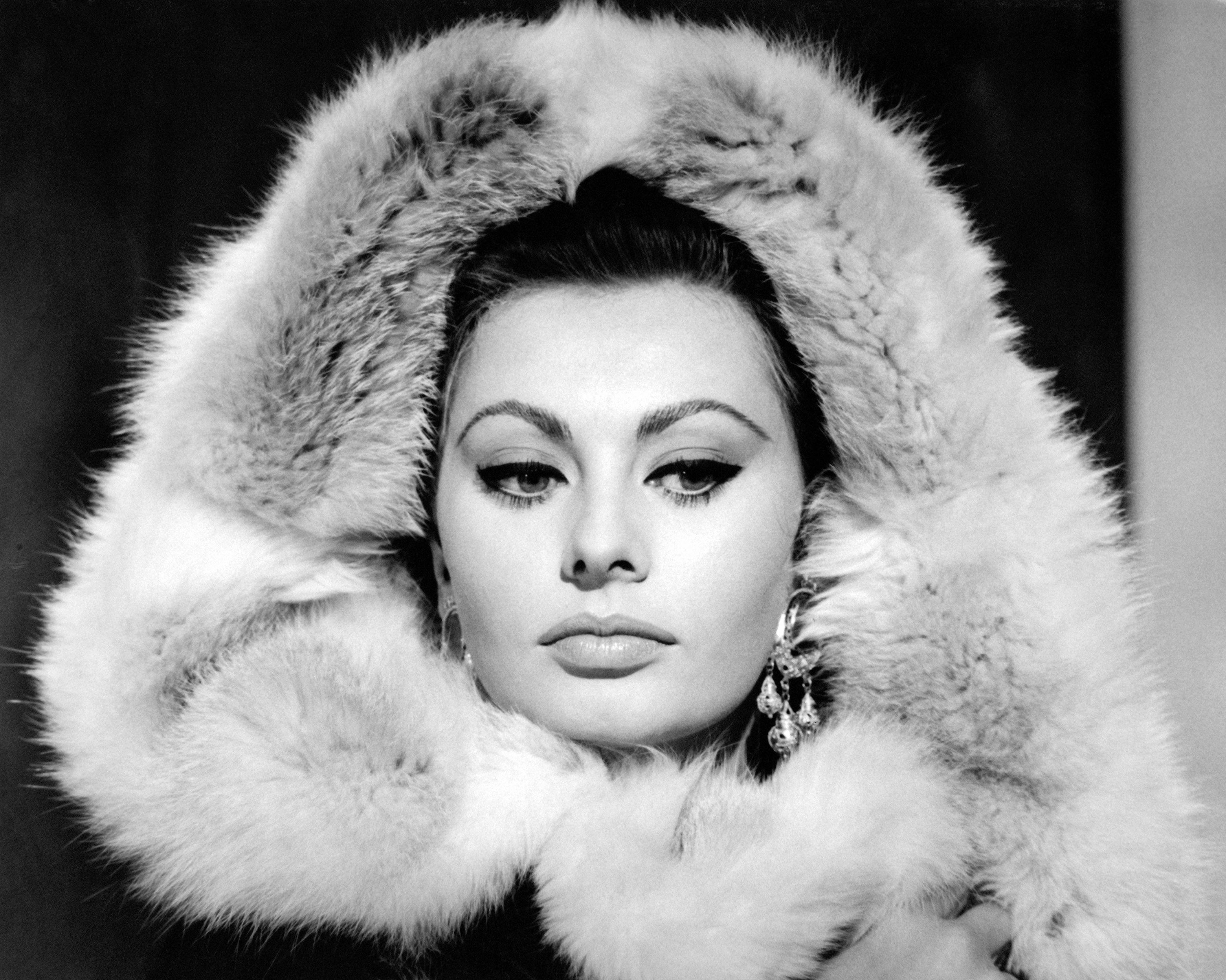 Sophia Loren, Porträts, Fotografie, Bildersammlung, Glanz, 3120x2500 HD Desktop