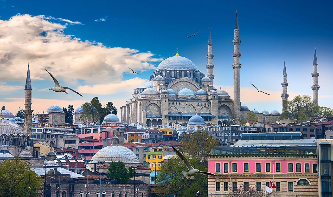 Istanbul Vögel Moschee Türkei Städte, 1280x760 HD Desktop