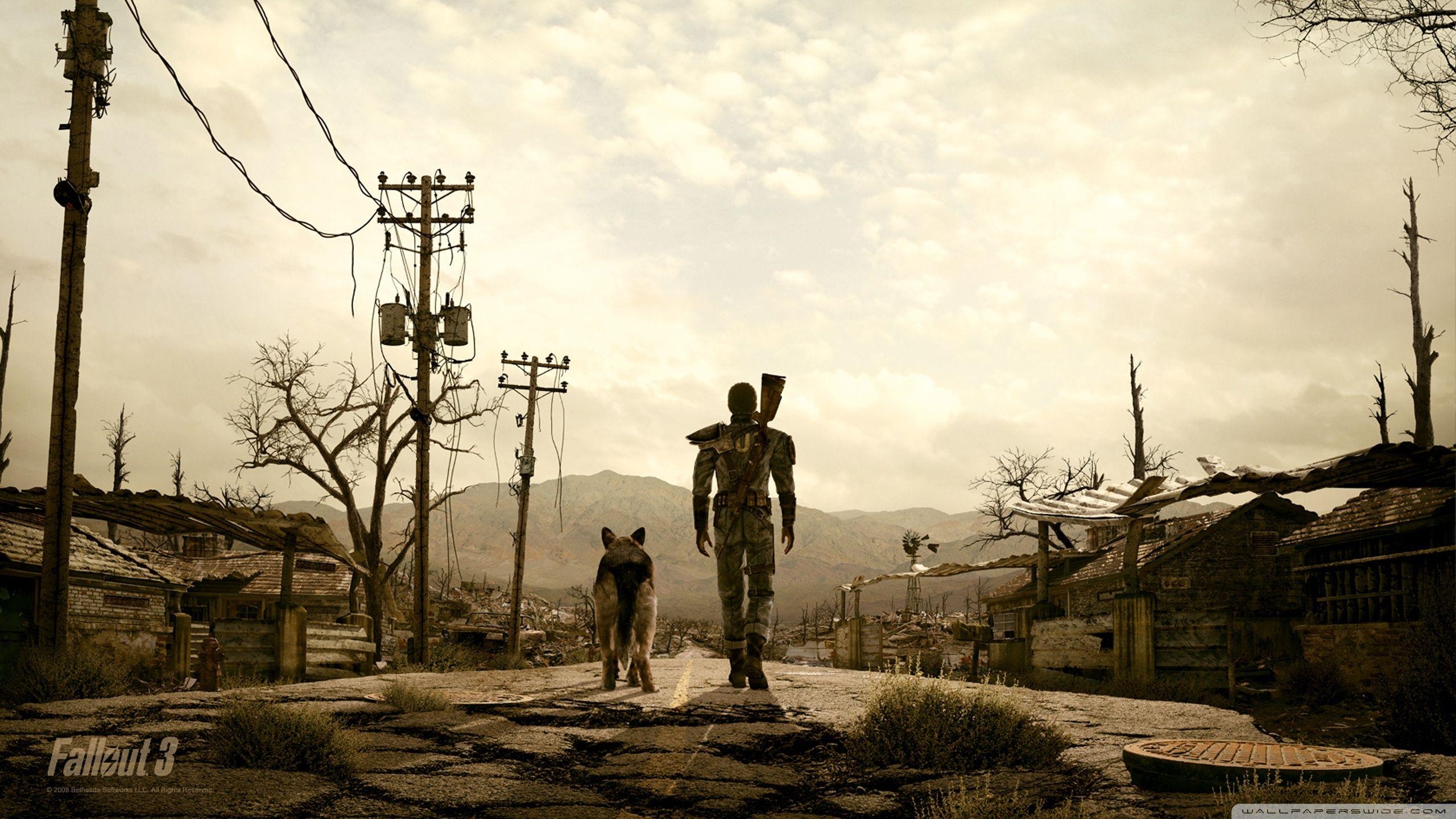 Fallout 3, Mann und Hund, 4K, Gaming, UHD, 2560x1440 HD Desktop