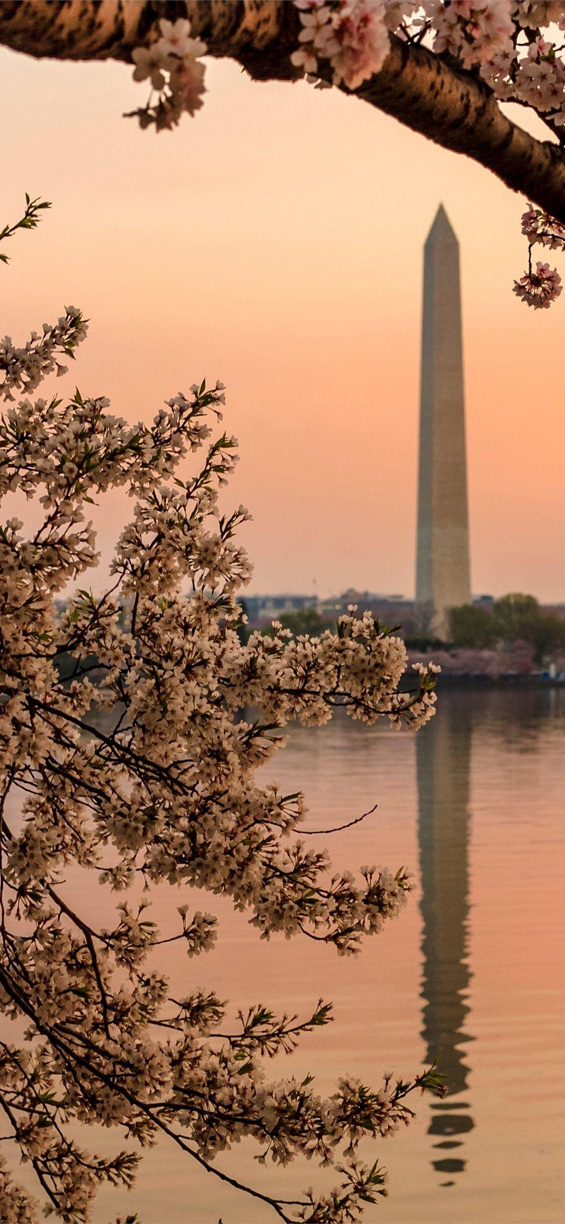 Washington Monument, iPhone, kostenlos, Download, Hintergrund, 1130x2440 HD Handy