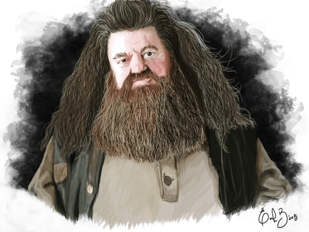 Rubeus Hagrid, Hintergrund, Film, Harry, Charakter, 1030x770 HD Desktop