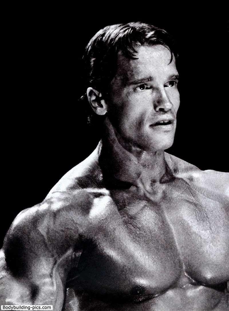 Arnold Schwarzenegger, iPhone Hintergrund, Kultfigur, Schauspieler, Bodybuilder, 800x1090 HD Handy