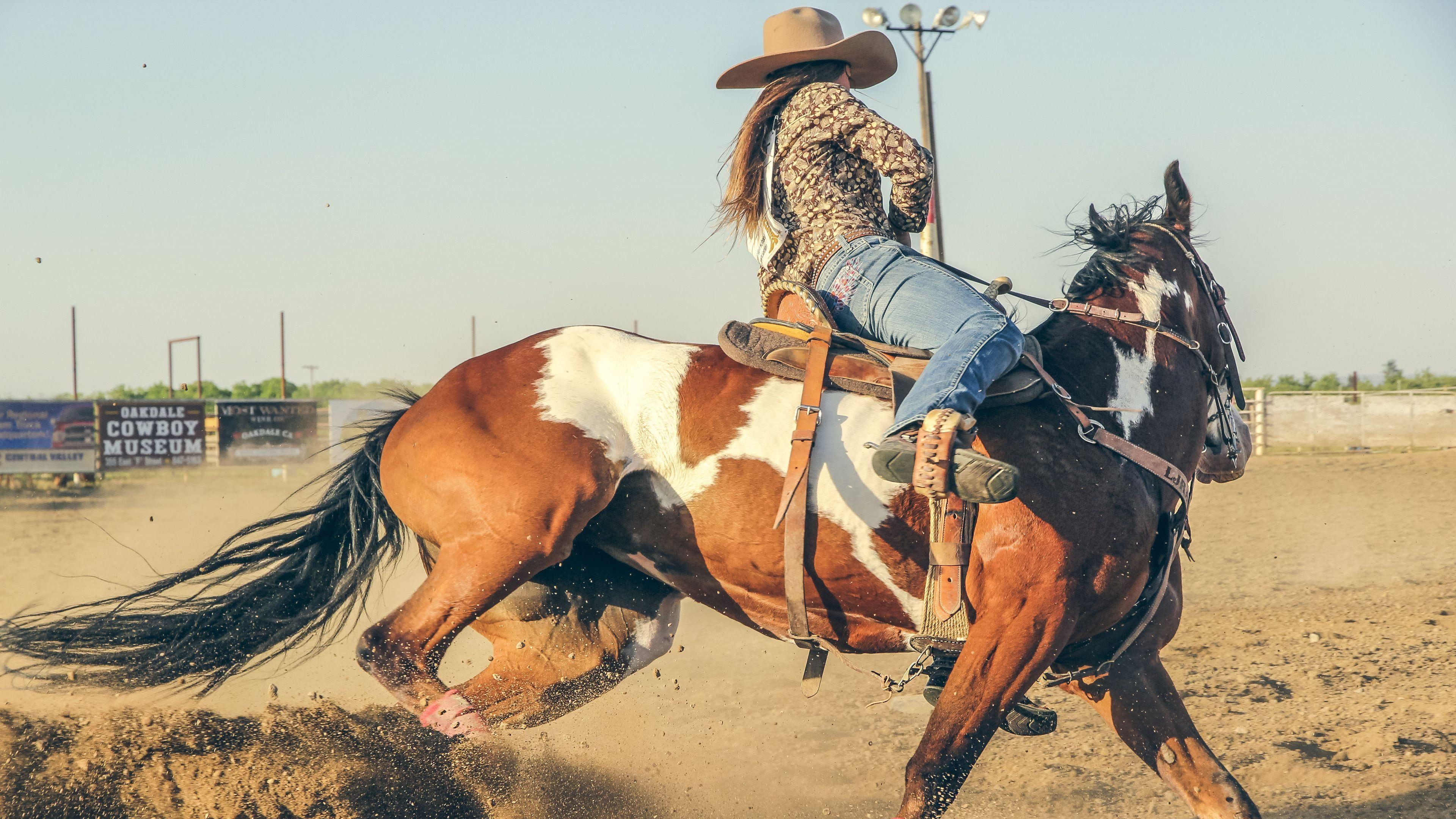 Rodeo, Instagram, HD, Hintergrund, Sport, 3840x2160 4K Desktop