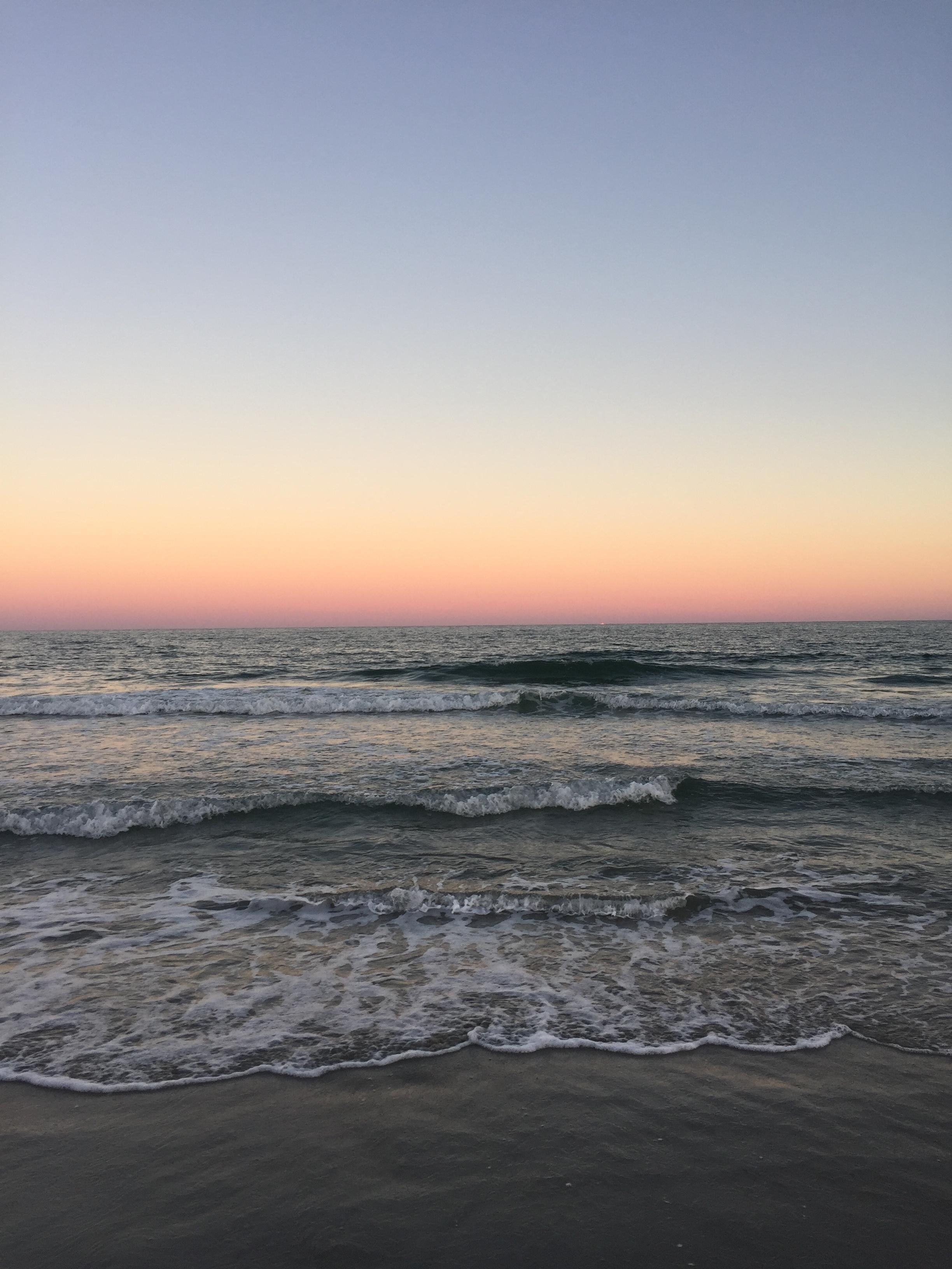 Huntington Beach State Park, South Carolina, USA, HD, Erforschen, 2450x3270 HD Handy