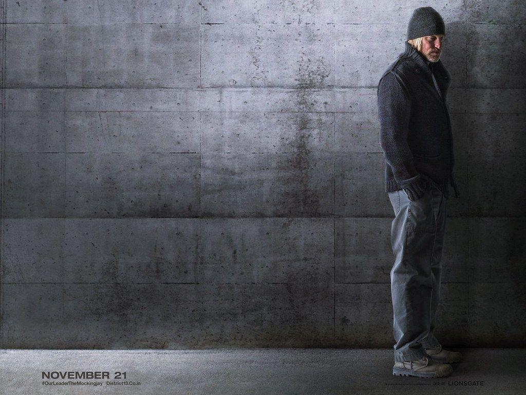 Woody Harrelson, Hunger Games, Mockingjay, Teil 1, Film, 1030x770 HD Desktop