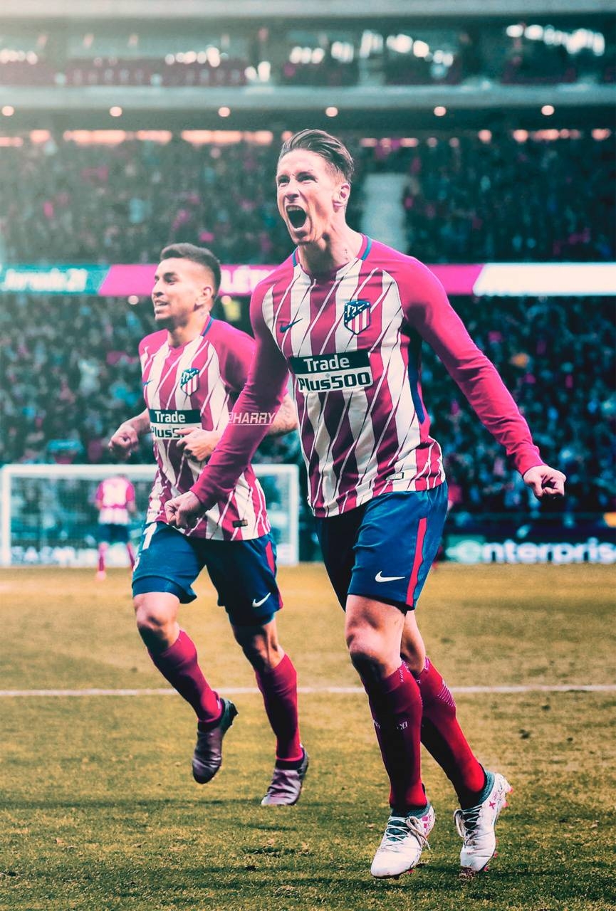 Fernando Torres, Sport, Fußball, Hintergrund, Bild, 870x1280 HD Handy