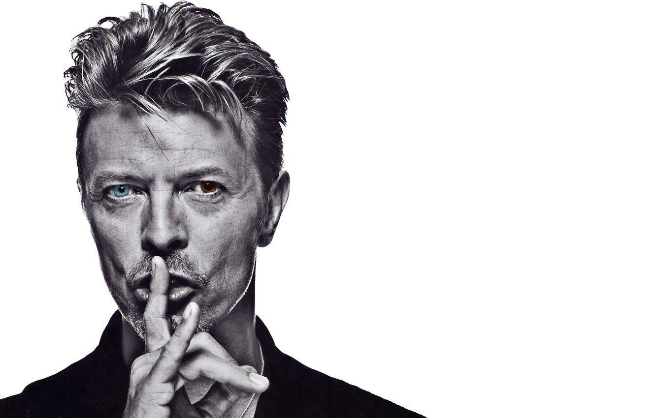 David Bowie, Musik, Rock, Künstler, Hintergrund, 1340x850 HD Desktop