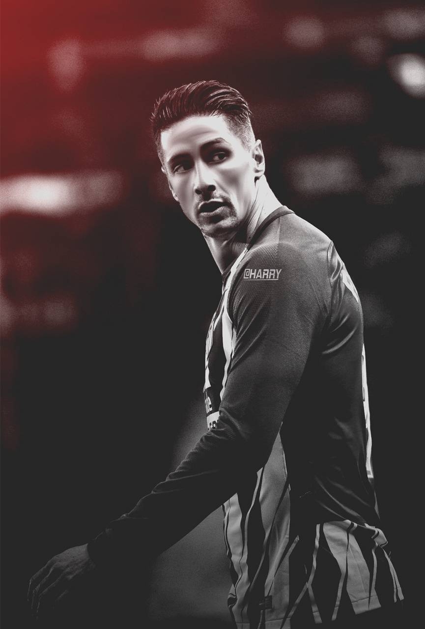 Fernando Torres, Sport, Bild, Hintergrund, Fußball, 870x1280 HD Handy