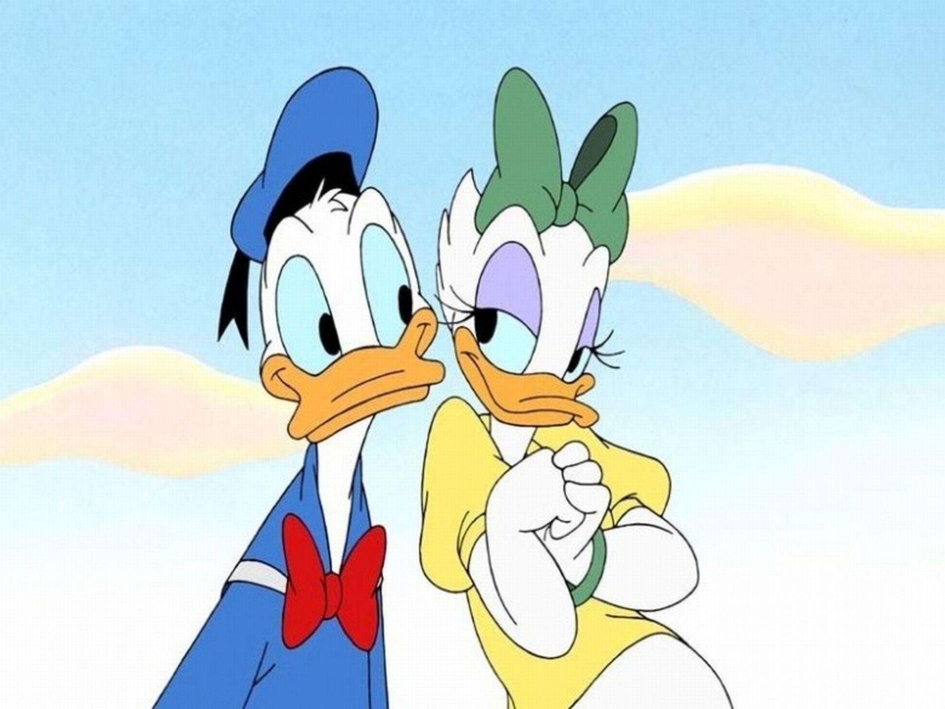 Donald Duck, Daisy, Cartoon, Disney, Hintergrundbild, 1920x1440 HD Desktop