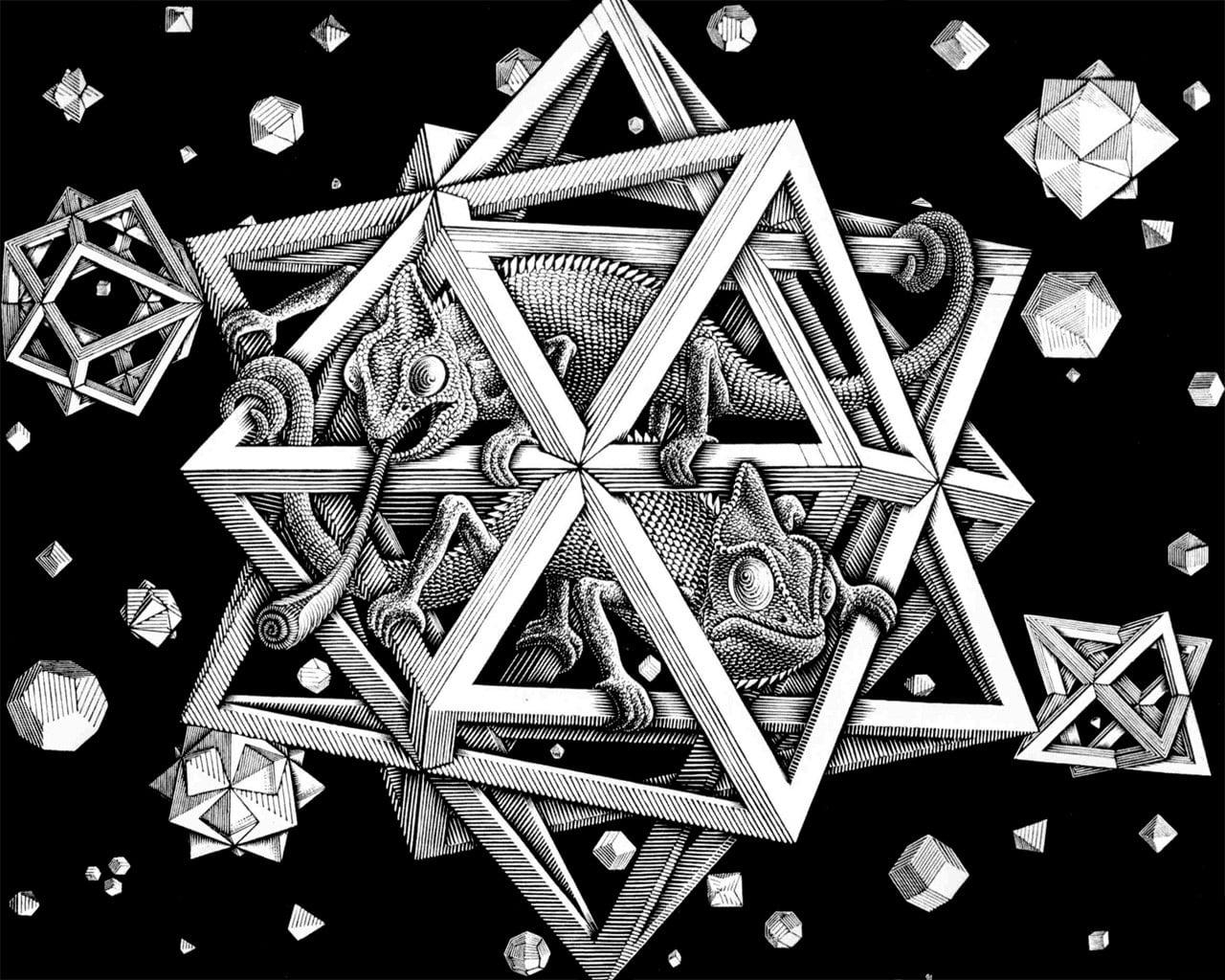 Chamäleon, M.C. Escher, grauer Stern, digitale Kunst, Illustration, 1280x1030 HD Desktop