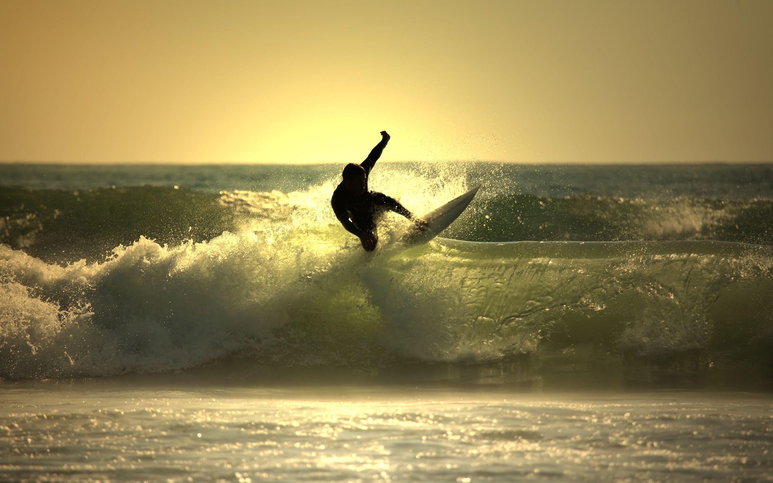 Welle Surfen, Kostenlos, Desktop, Sport, HD, 2560x1600 HD Desktop