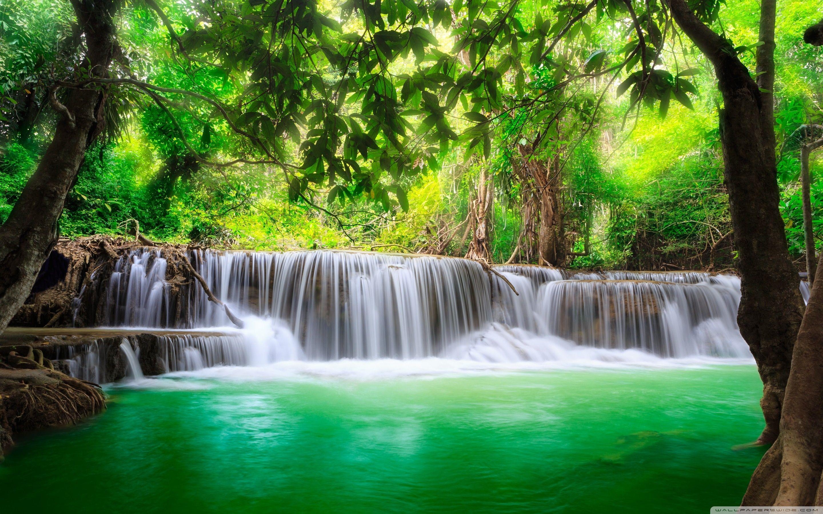 Tropisch, Grün, Wasserfall, 4K, Desktopbild, 2880x1800 HD Desktop