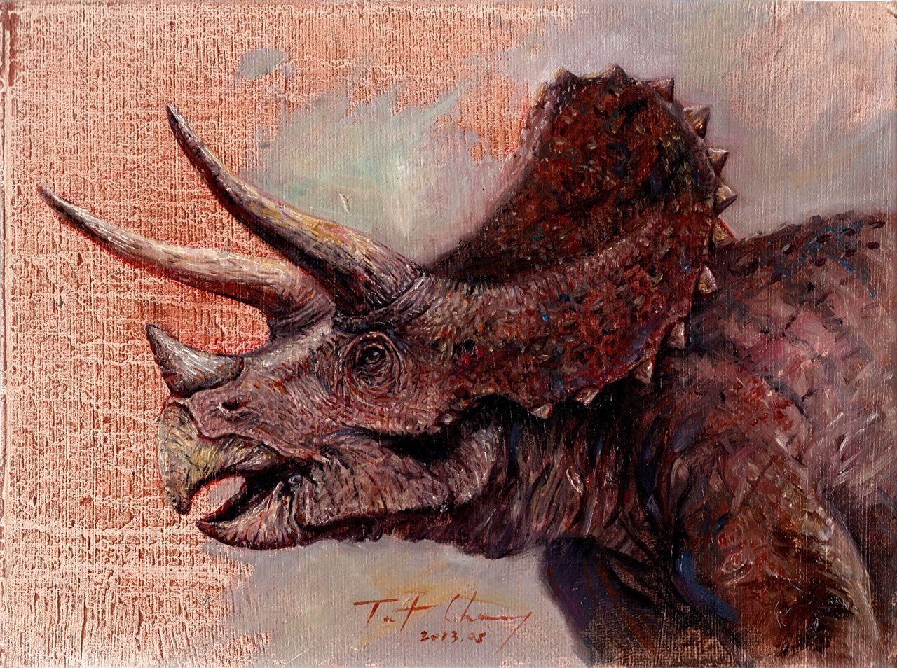 Triceratops Dinosaurier Hörner Kopf Bild, 1280x960 HD Desktop