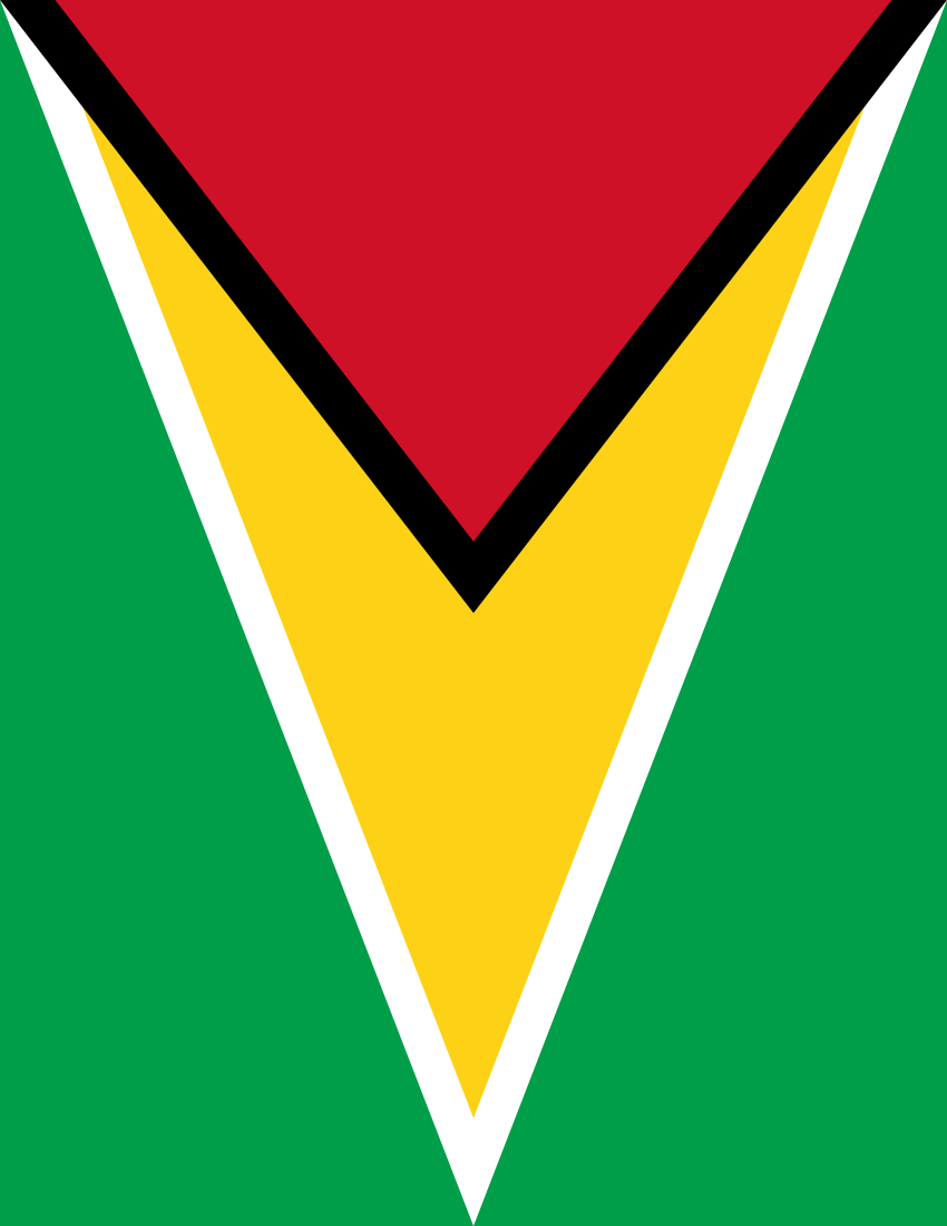 Guyana-Flagge, vollständige Seite, Länder, Symbol, Nationalität, 850x1100 HD Handy