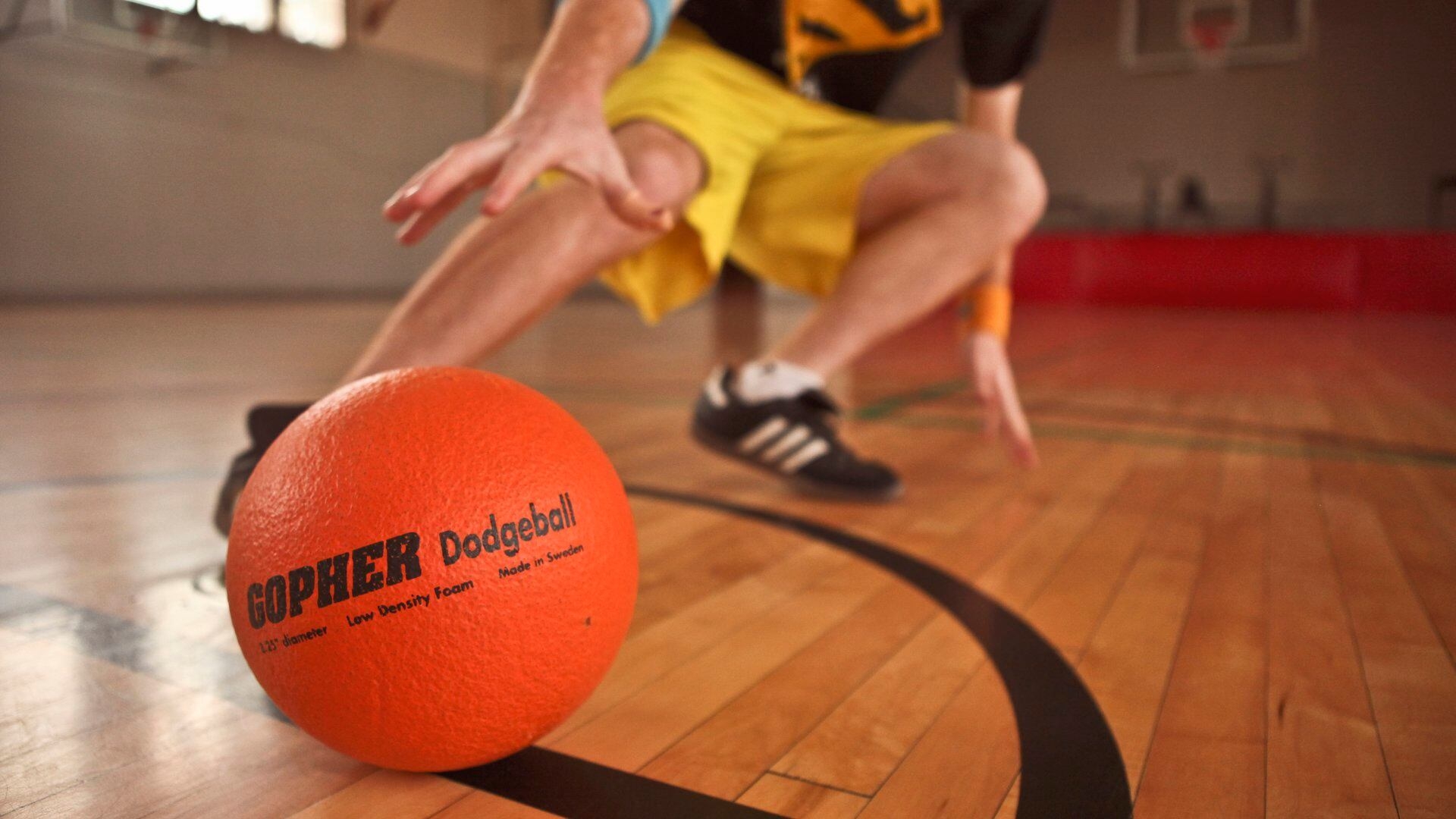 Dodgeball, Sport, Diskussion, Unterdrückung, Menschenbild, 1920x1080 Full HD Desktop