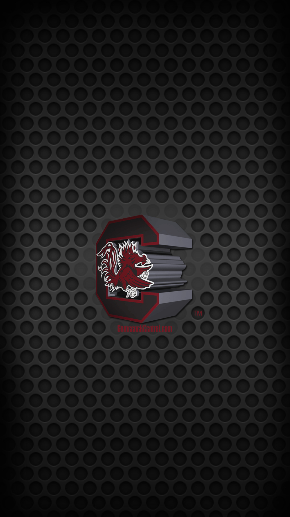 South Carolina, Gamecocks, Kostenlos, Sport, Hintergrund, 1000x1780 HD Handy