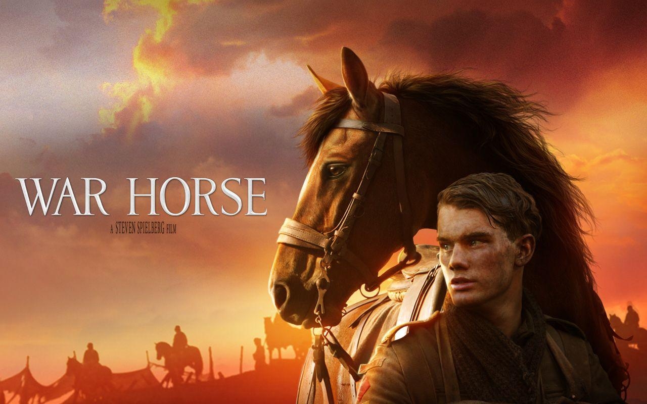 War Horse, Film HQ, Bild, 2019, Pferd, 1280x800 HD Desktop