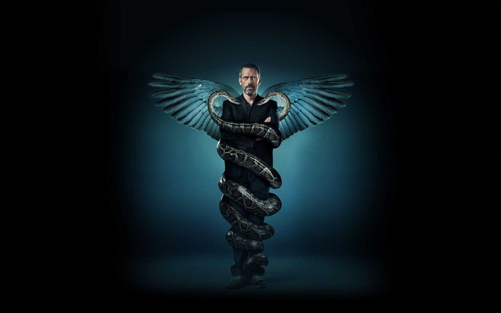 House MD, Snake Wings, TV-Serie, TV-Star, 1920x1200 HD Desktop