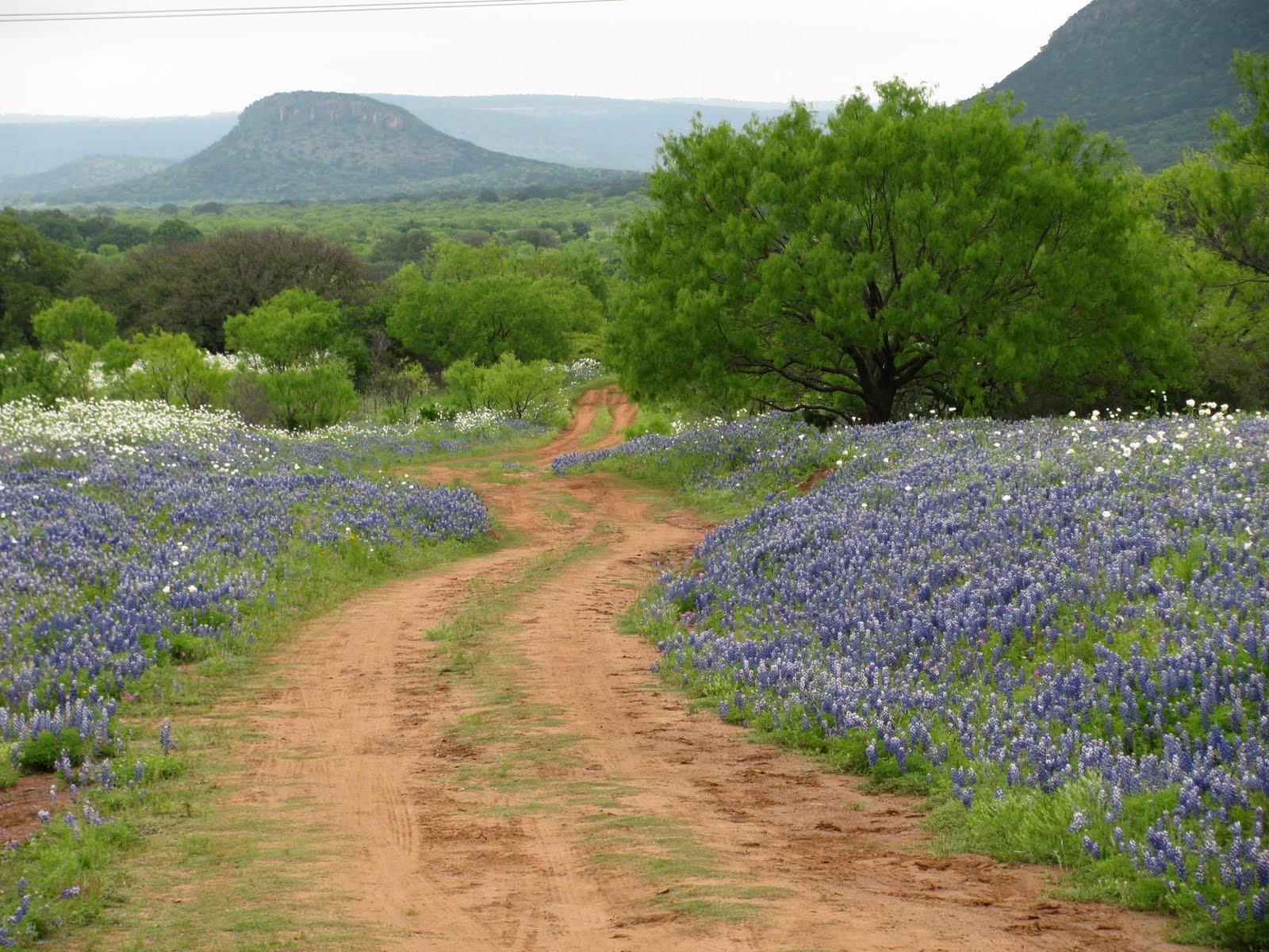 Texas Hill Country, Reisen, Landschaft, Natur, USA, 1600x1200 HD Desktop