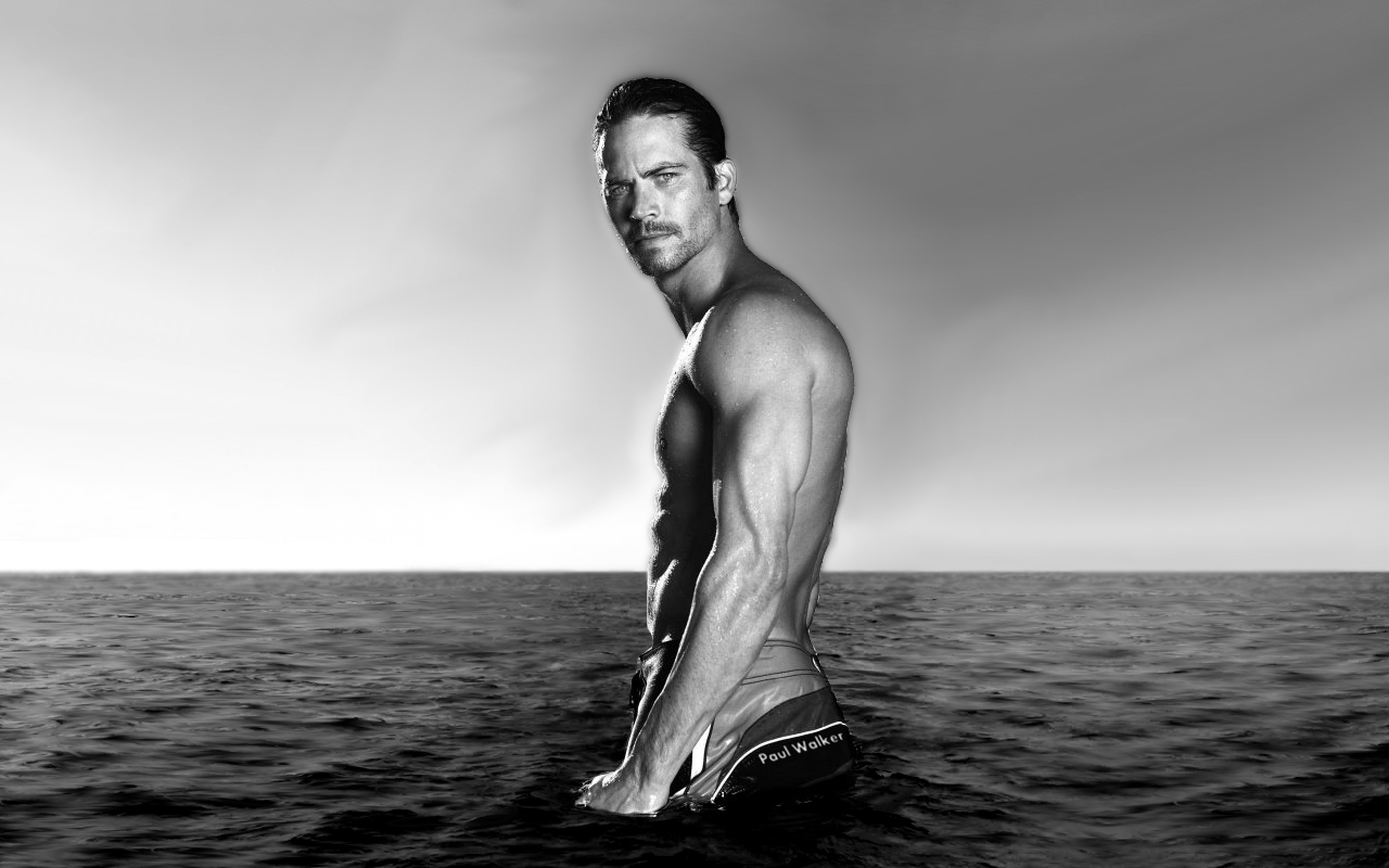 Paul Walker, Schauspieler, Film, Hollywood, Star, 1280x800 HD Desktop