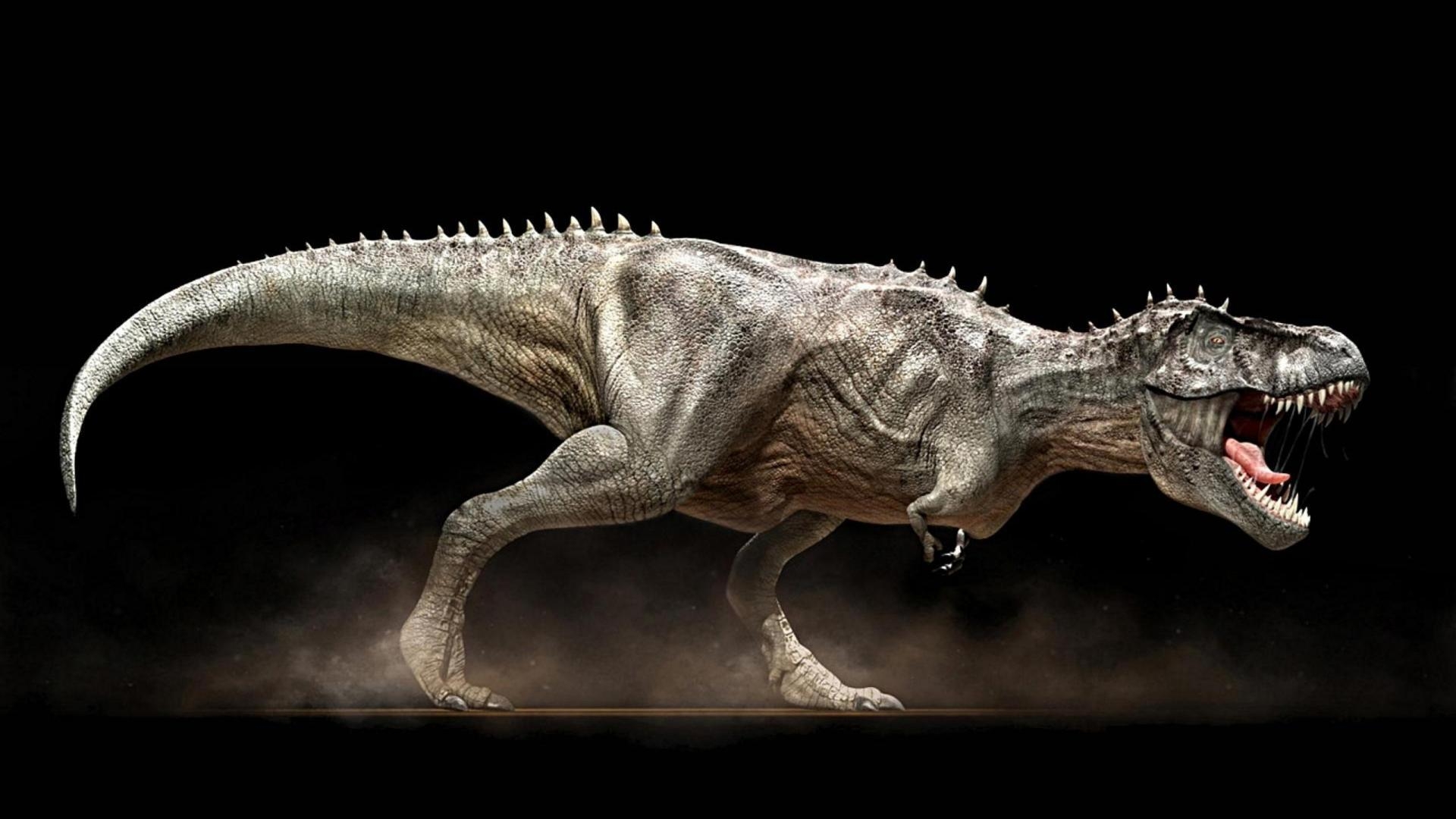 Fantastische Dinosaurier Tapetendesigns Triceratops Kunst, 1920x1080 Full HD Desktop