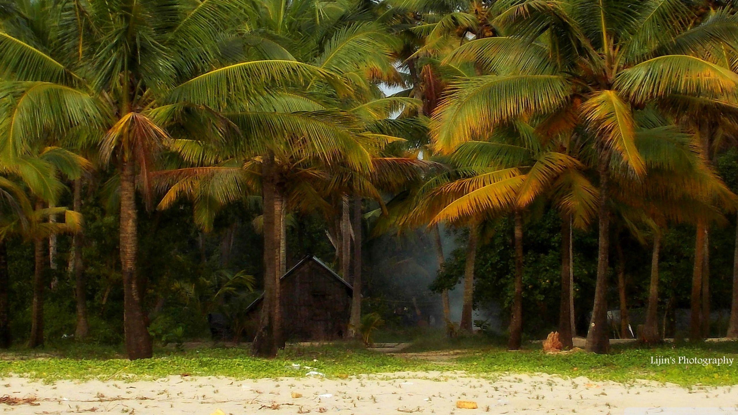 Kerala, Strand, 4K, Südindien, Meeresblick, 2560x1440 HD Desktop