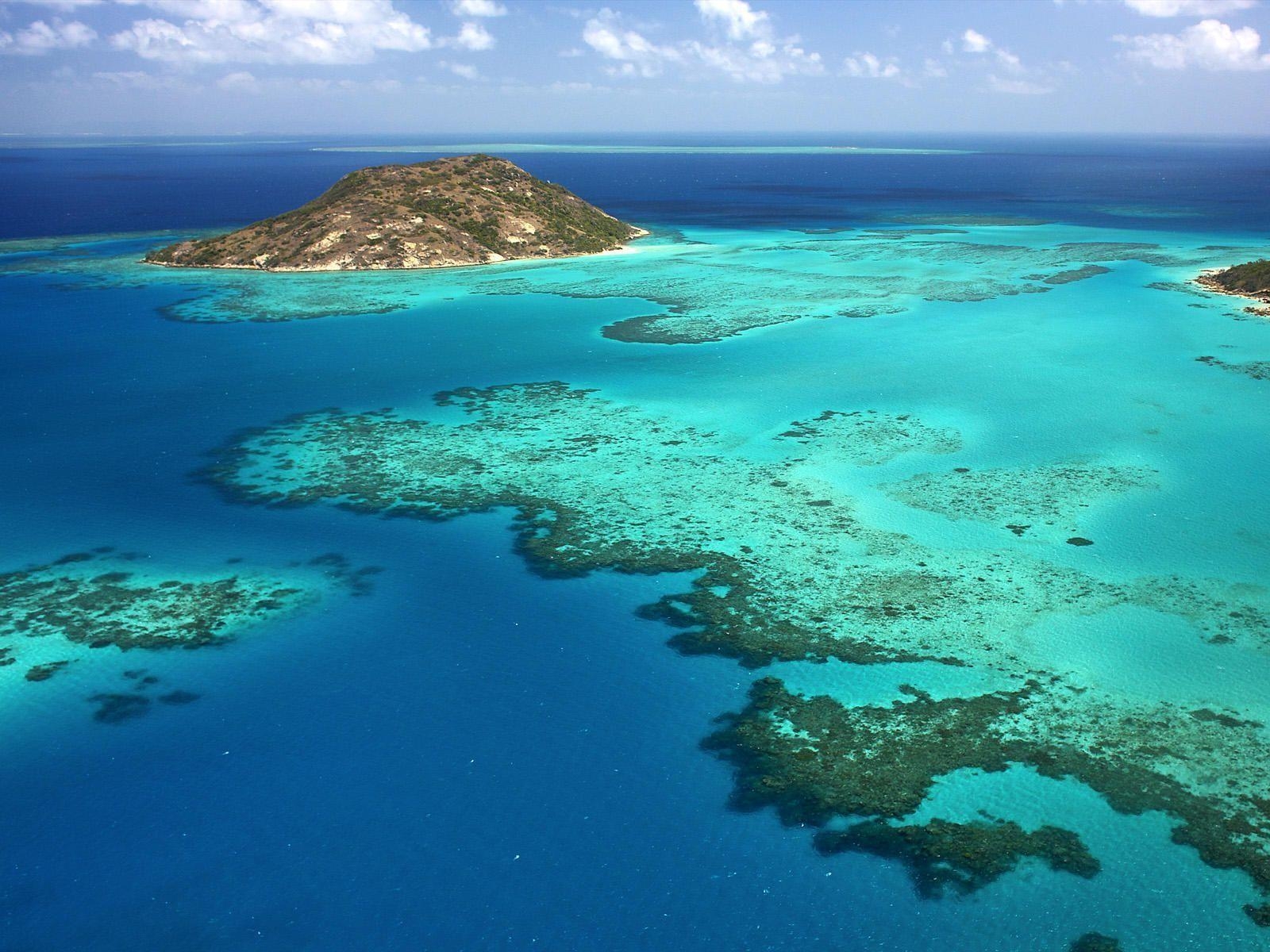 Great Barrier Reef, Korallen, Meer, Natur, Unterwasser, 1600x1200 HD Desktop