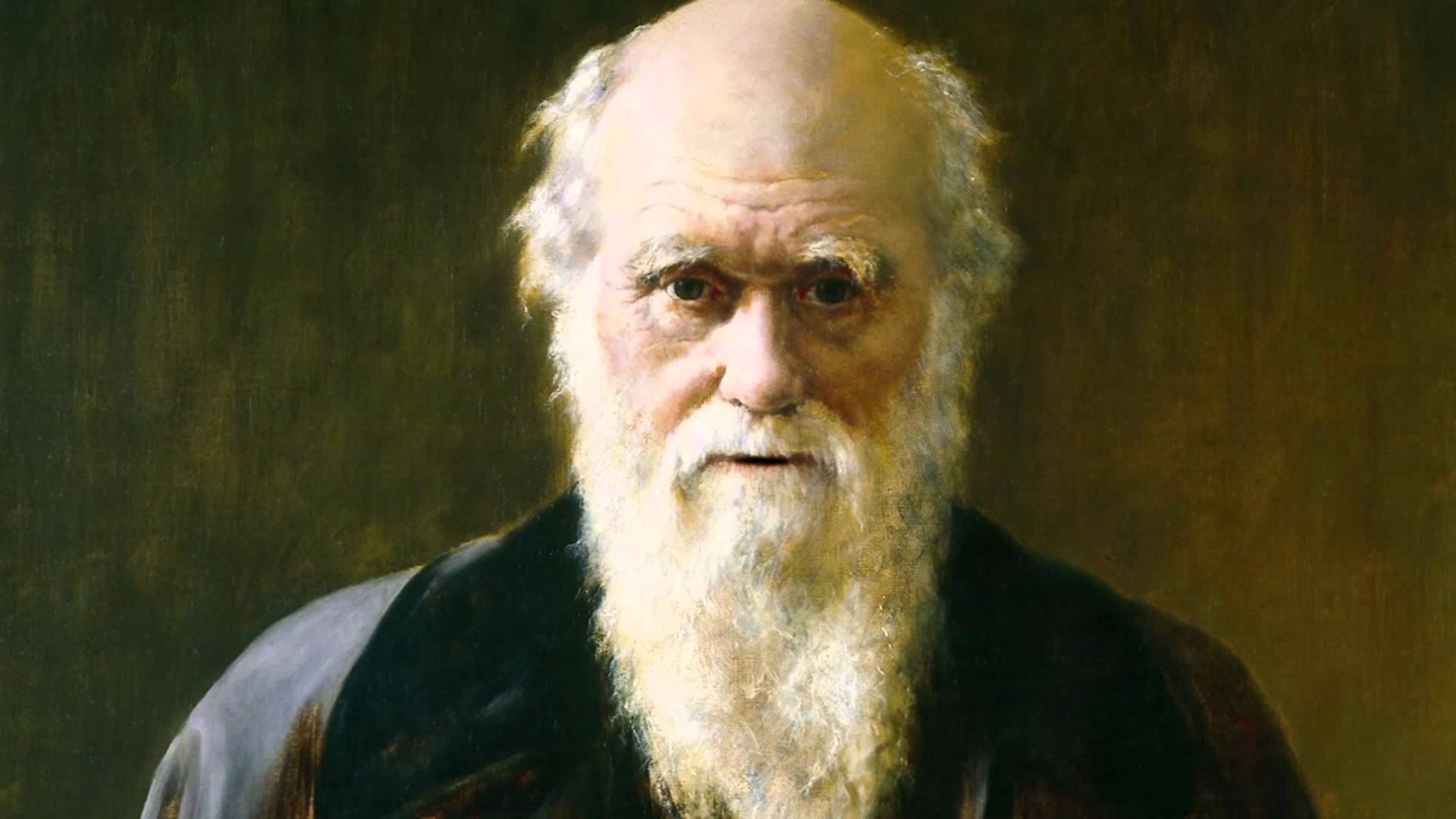 Charles Darwin, Naturforscher, wissenschaftlicher Einfluss, Hintergrund, 1920x1080 Full HD Desktop