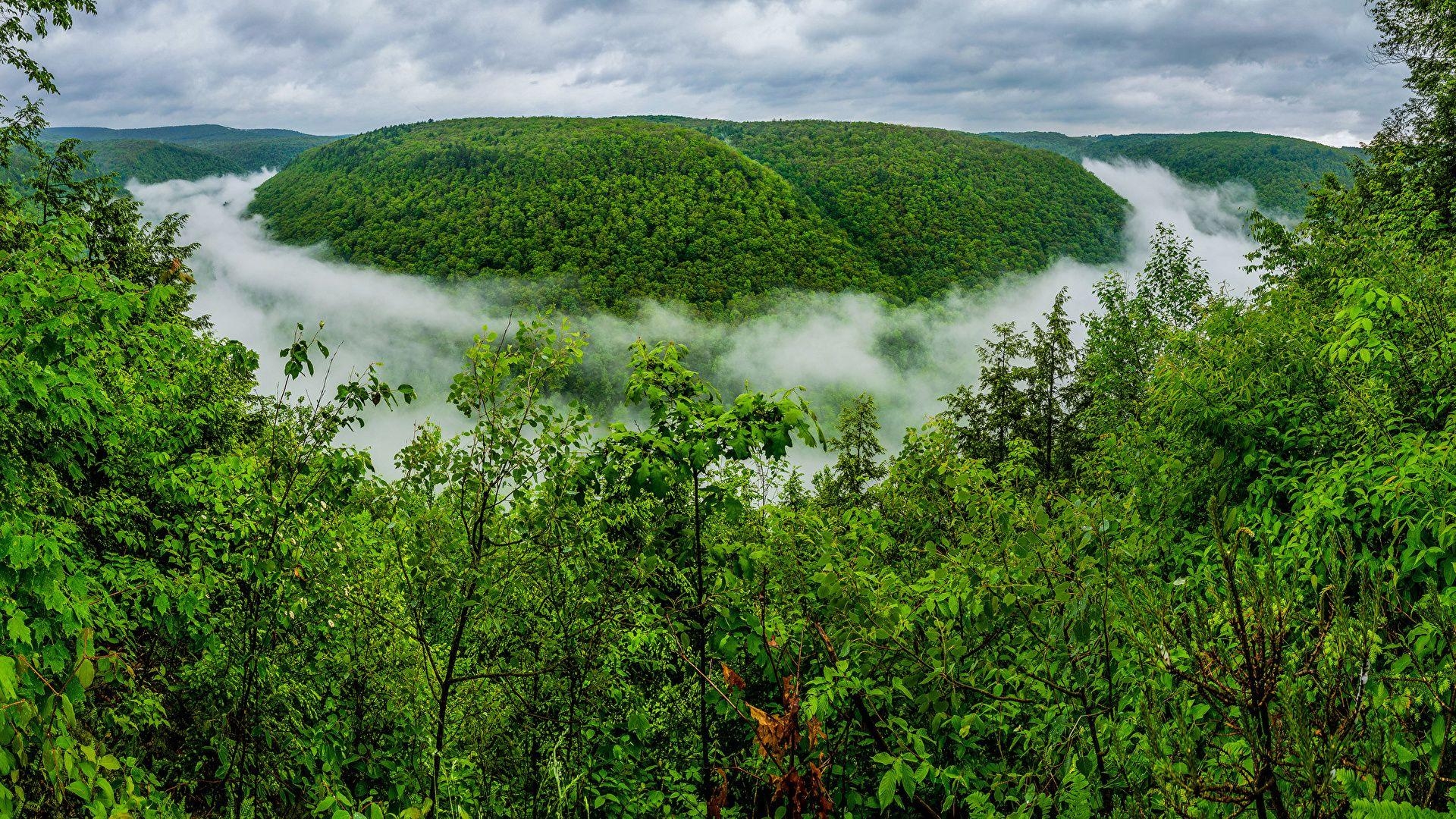 Pennsylvania, USA, Grand Canyon, Reiseziel, Landschafthintergrund, 1920x1080 Full HD Desktop