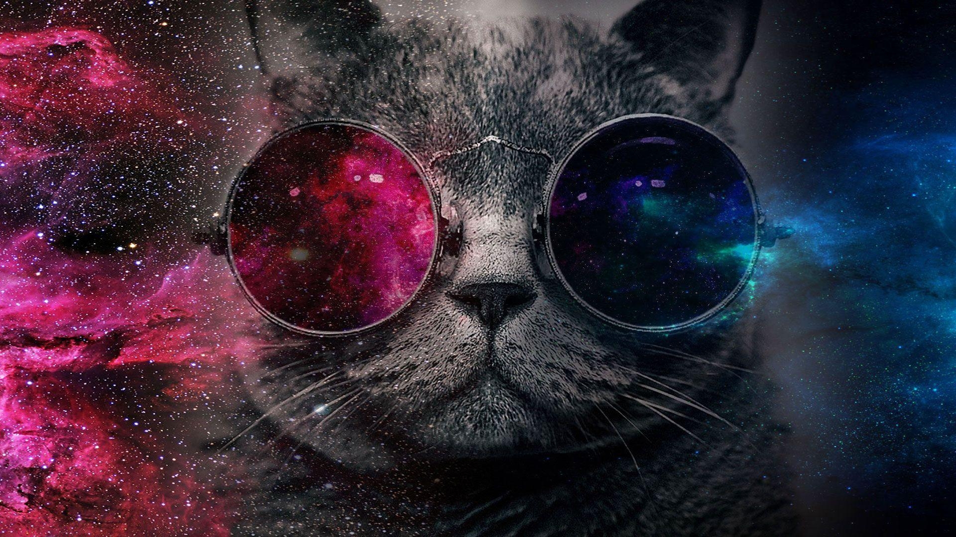 Galaxie Katze, Weltraum, Sterne, Fantasie, Bild, 1920x1080 Full HD Desktop