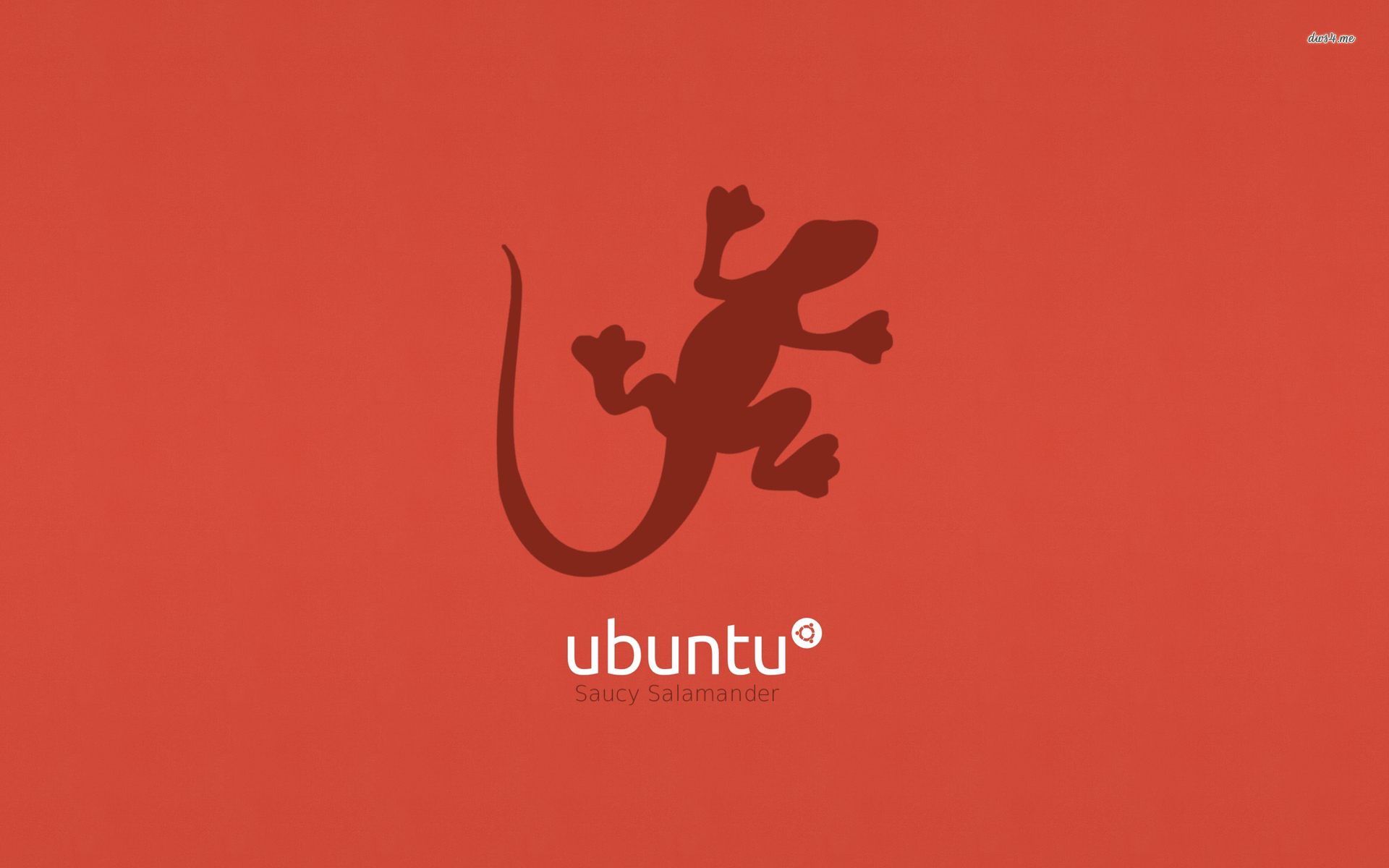 Ubuntu, Salamander, Desktop, Hintergrund, Bild, 1920x1200 HD Desktop