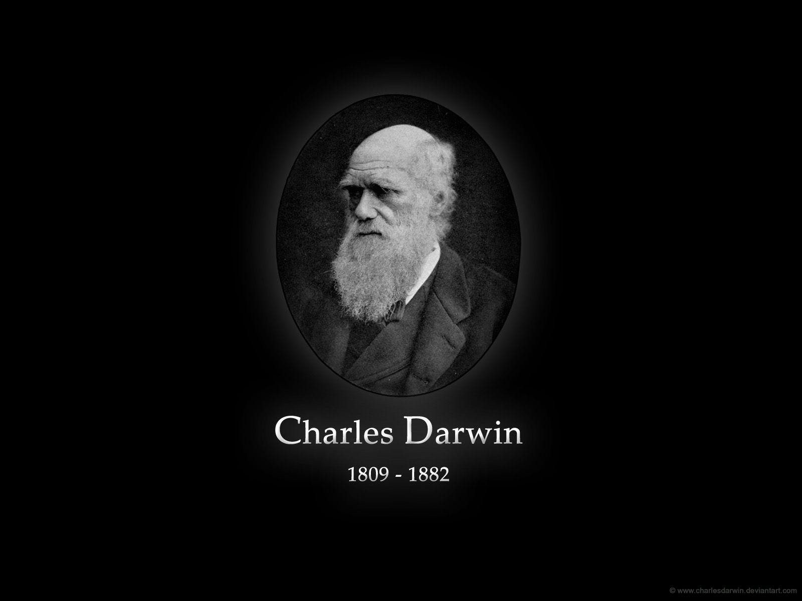 Charles Darwin, Evolution, wissenschaftliche Tapete, Portrait, Entdeckung, 1600x1200 HD Desktop