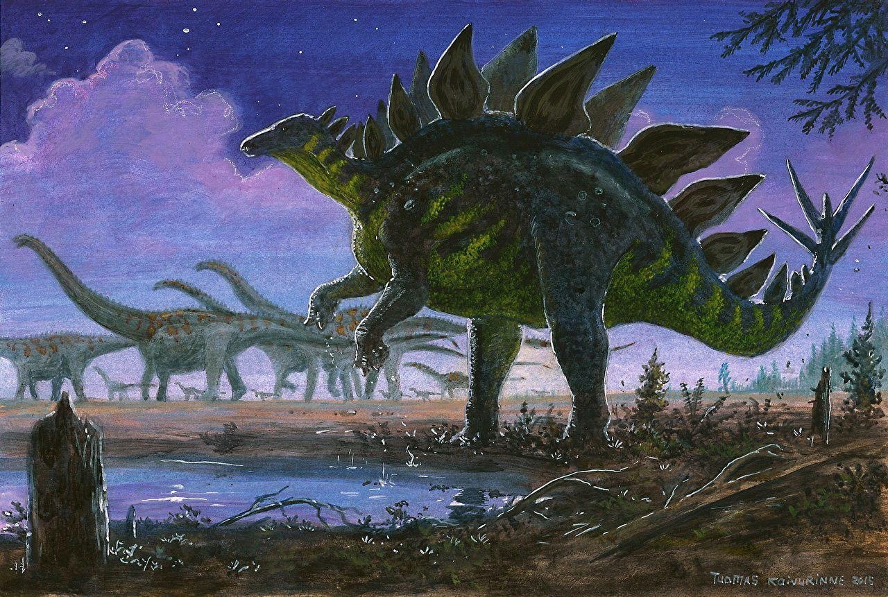 Tuomas Koivurinne, Dinosaurier, Stegosaurus, Piktorial, Kunst, 1280x870 HD Desktop