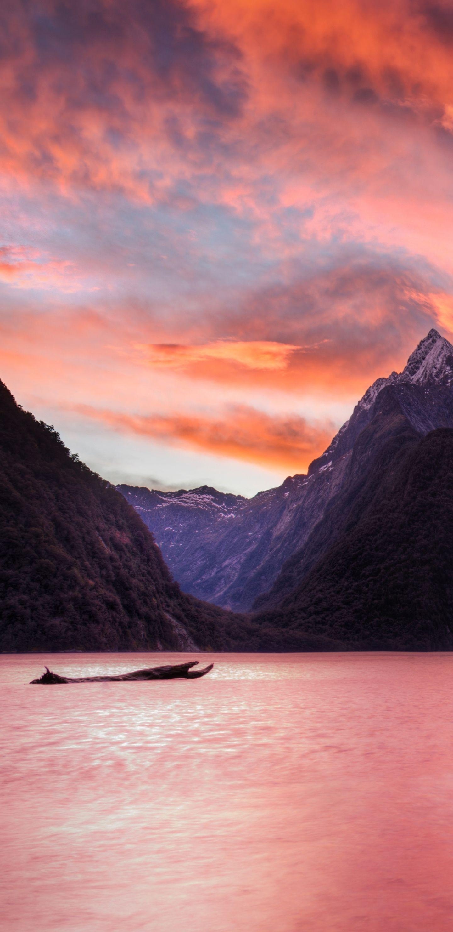 Milford Sound, 17QQ, Hintergrundbild, Fjord, Foto, 1440x2960 HD Handy