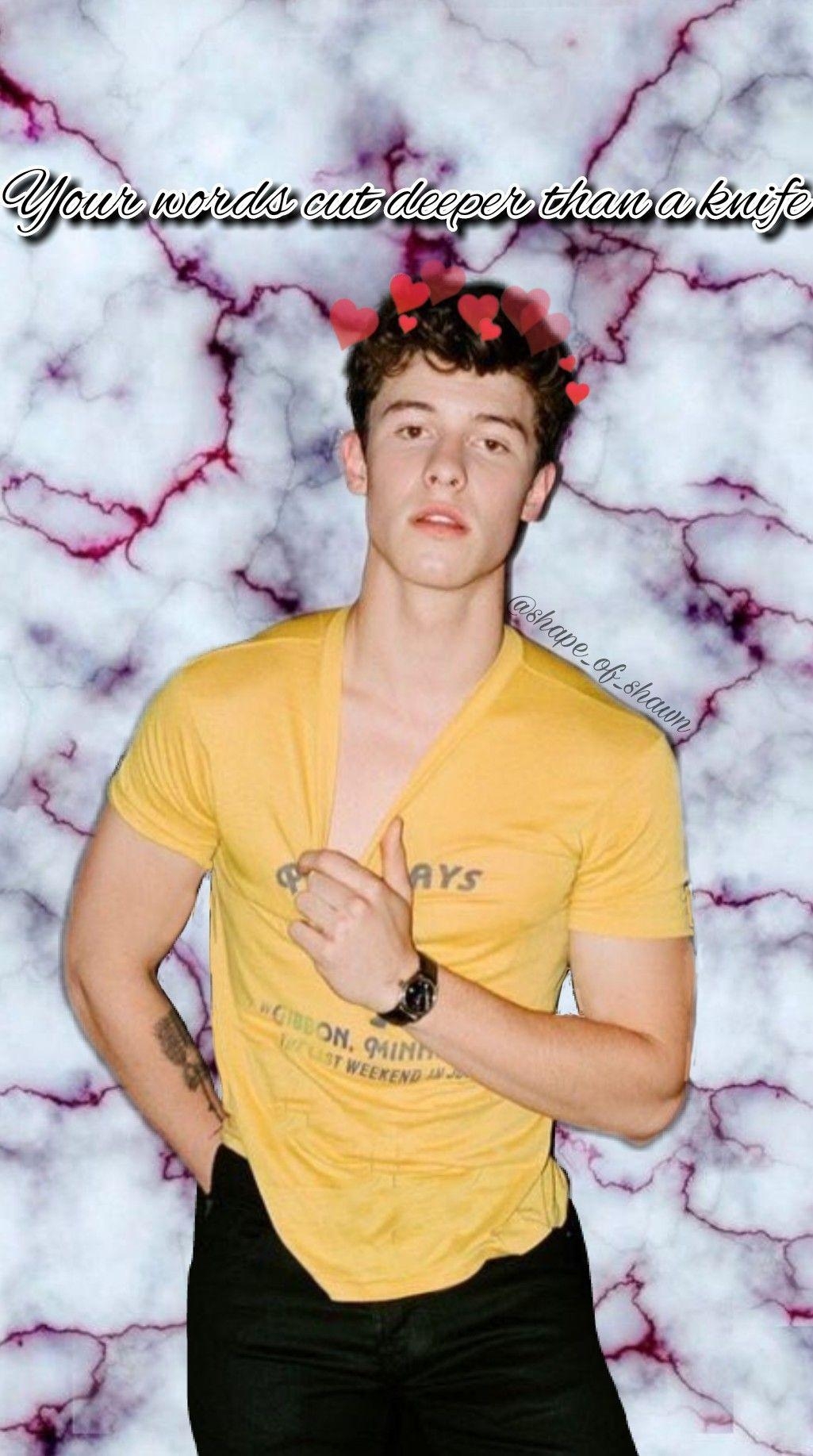 Shawn Mendes, Musik, Idol, Foto, Persönlichkeit, 1030x1840 HD Handy