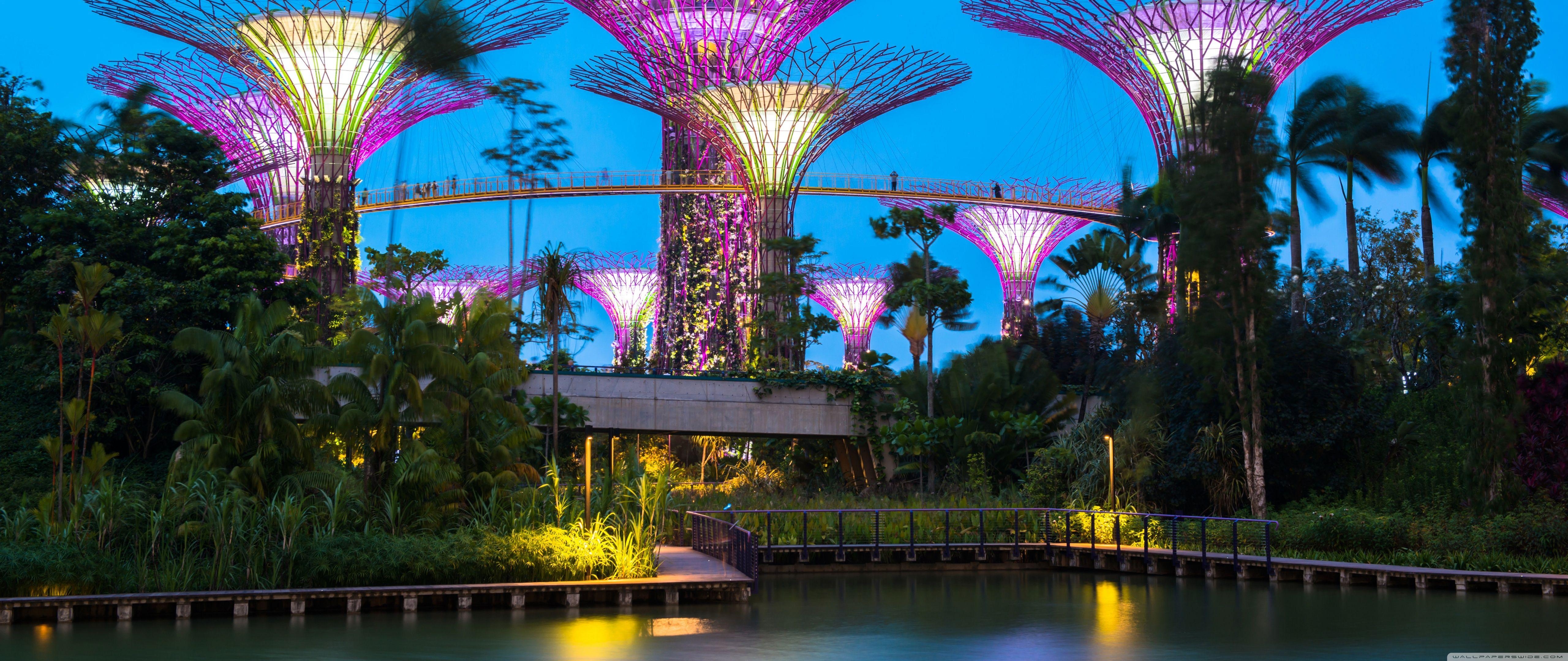 Supertree Grove, Gardens by the Bay, 4K, Singapur, Natur, 5120x2160 4K Desktop