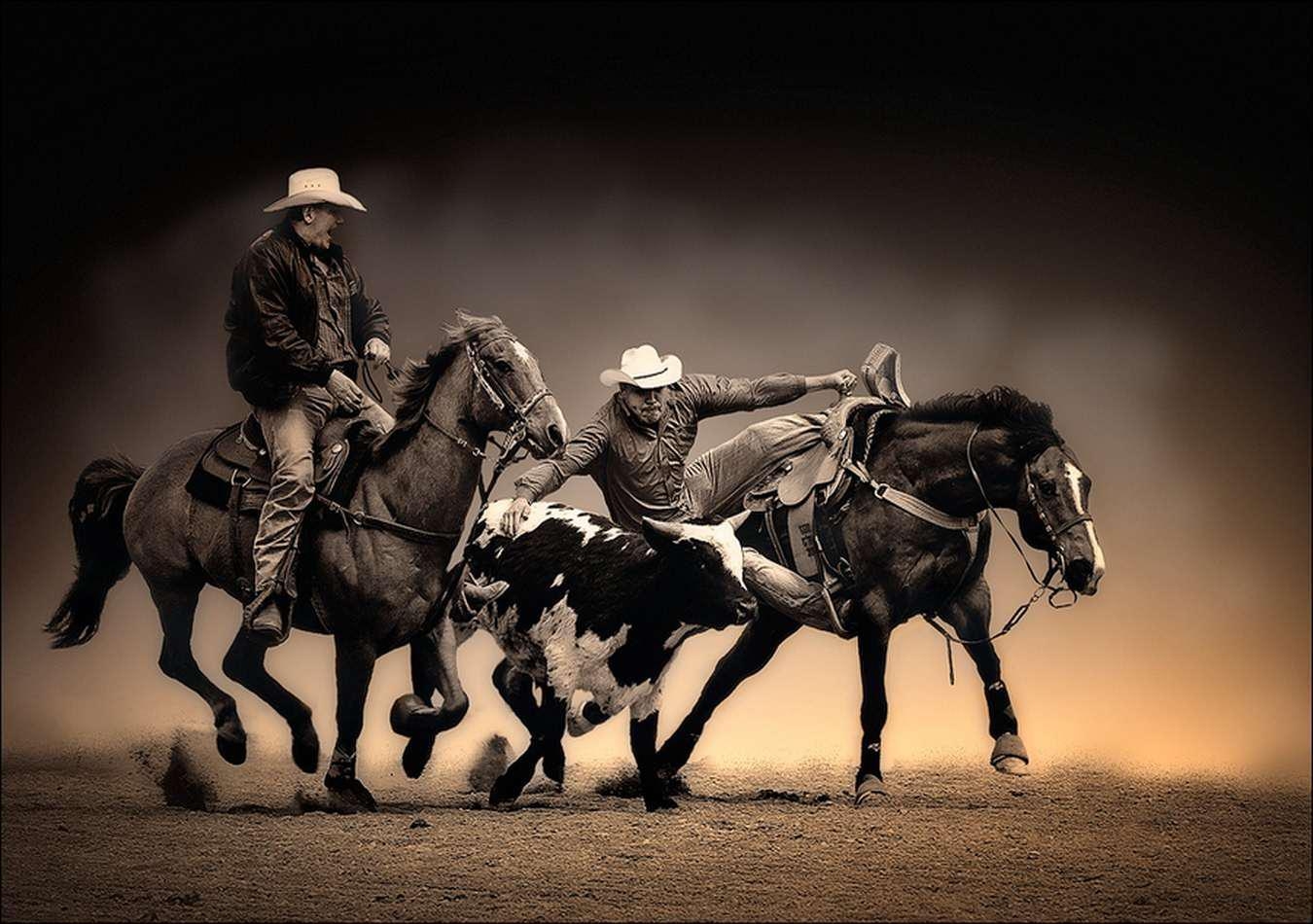 Rodeo, Sport, Western, Cowboys, Bullenreiten, 1350x950 HD Desktop