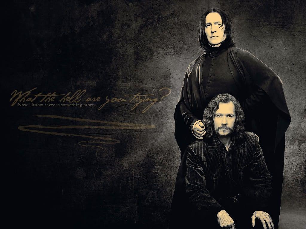 Severus Snape, Sirius Black, Hermoine, Dramione, Magische Welt, 1030x770 HD Desktop