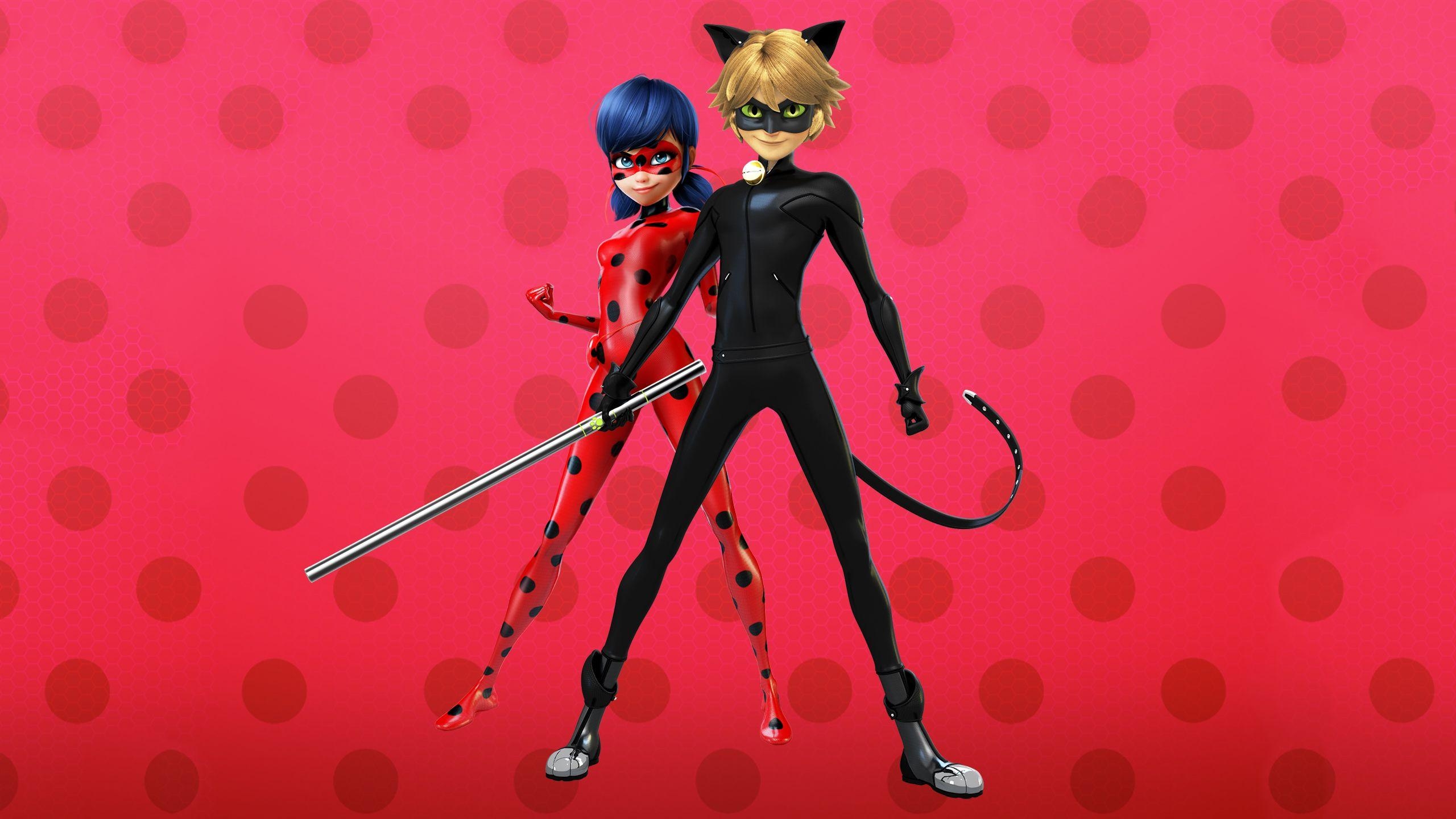 Miraculous Ladybug, HD, Cartoon, Hintergrundbild, Animation, 2560x1440 HD Desktop