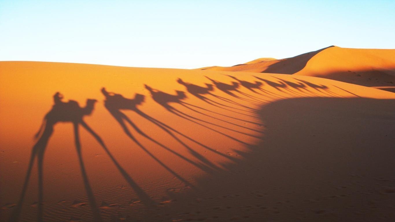 Kamele, Schatten, Sahara, Wüste, Natur, 1370x770 HD Desktop