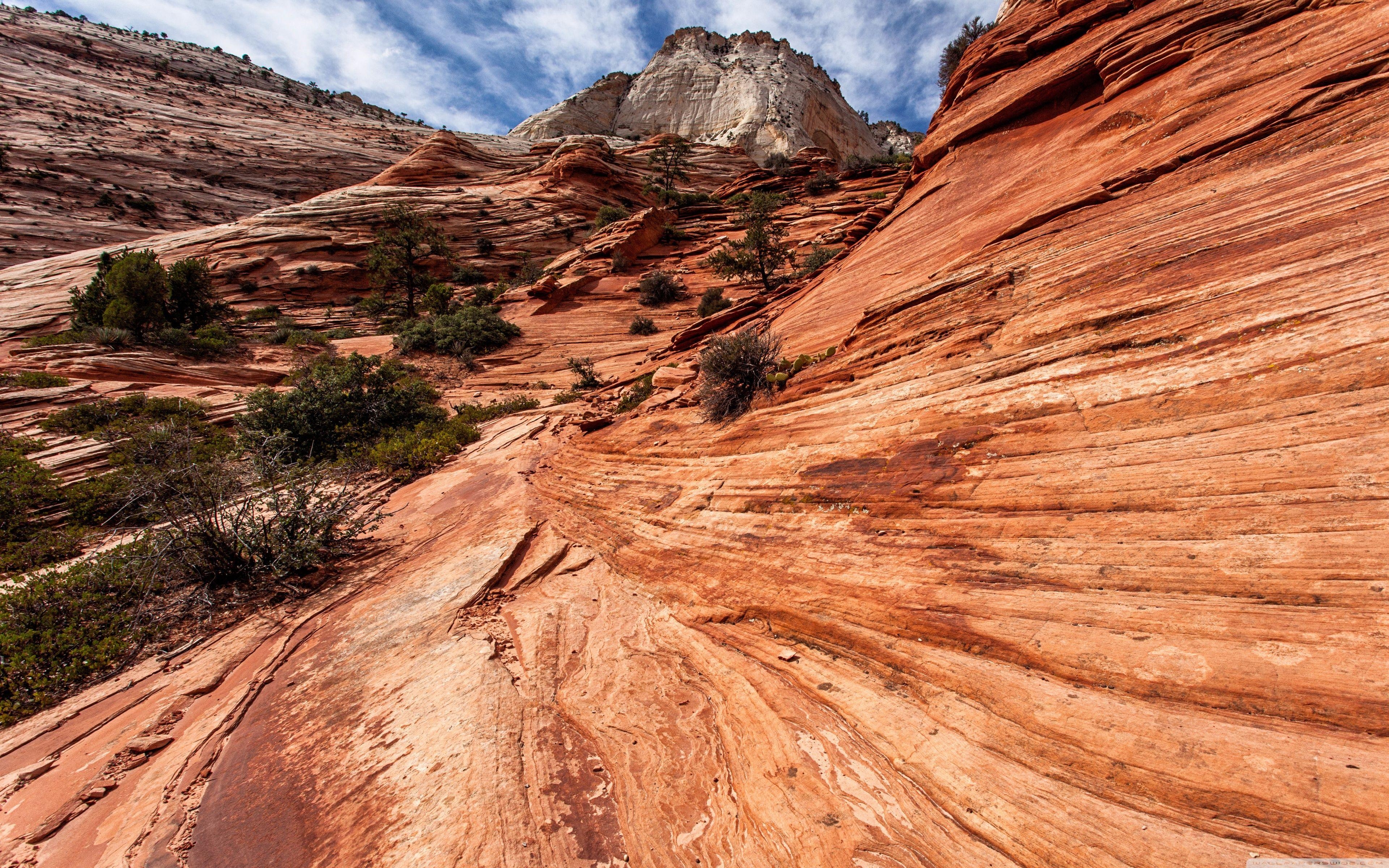 Zion Nationalpark, Utah, 4K HD, Desktop, USA, 3840x2400 4K Desktop